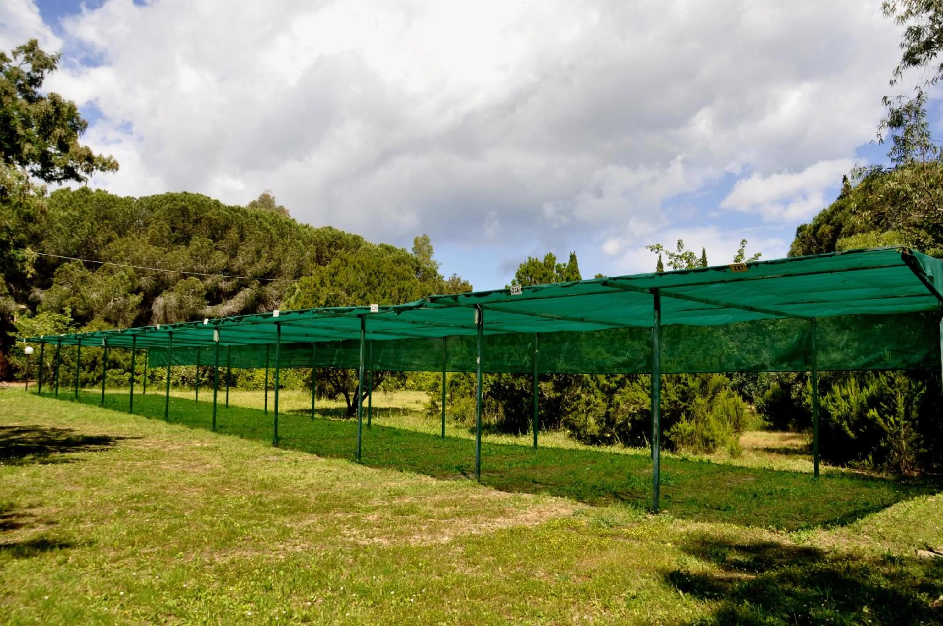 Other in Hotel Giardino