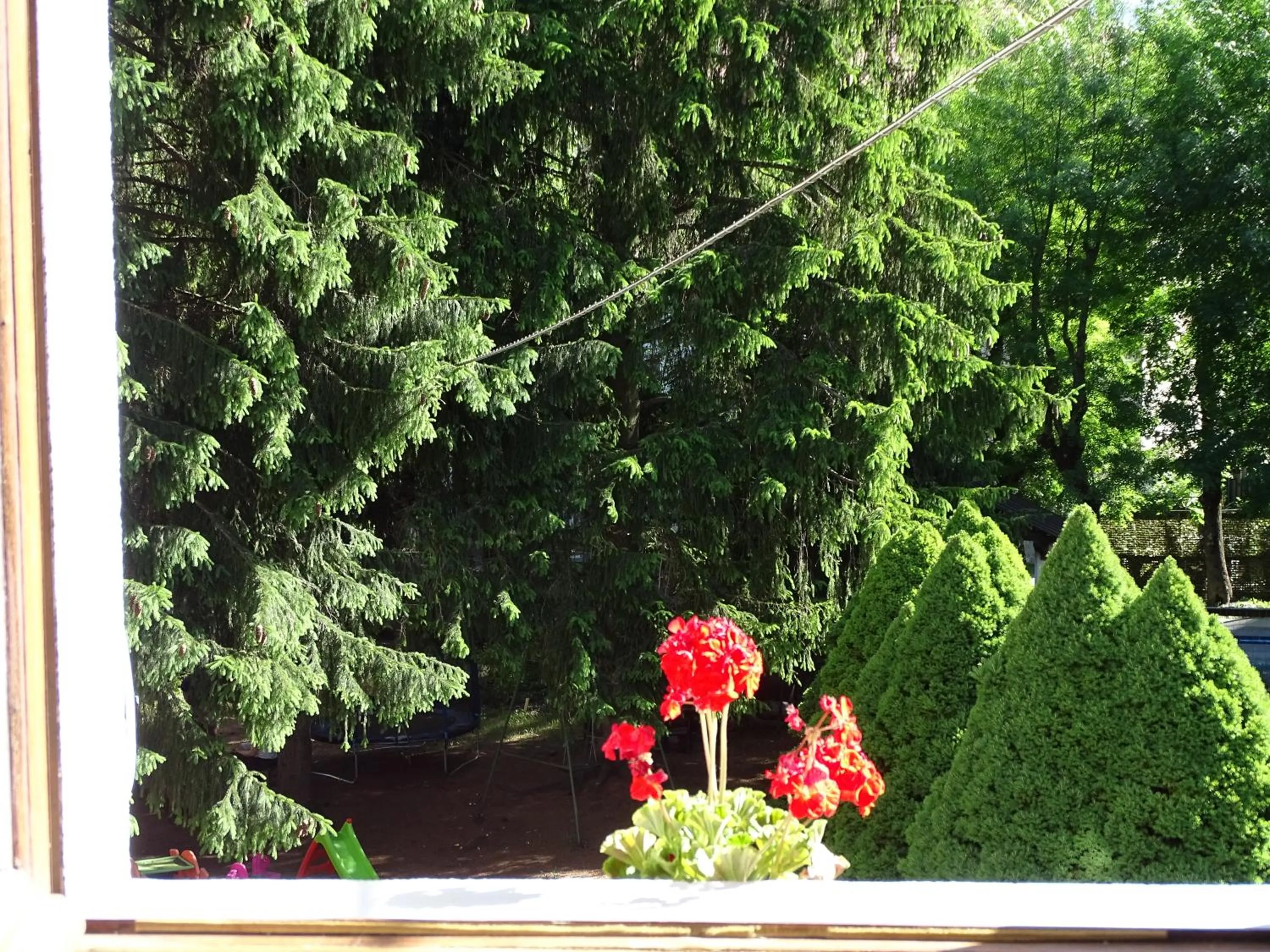 Garden view in Pensione Bianca