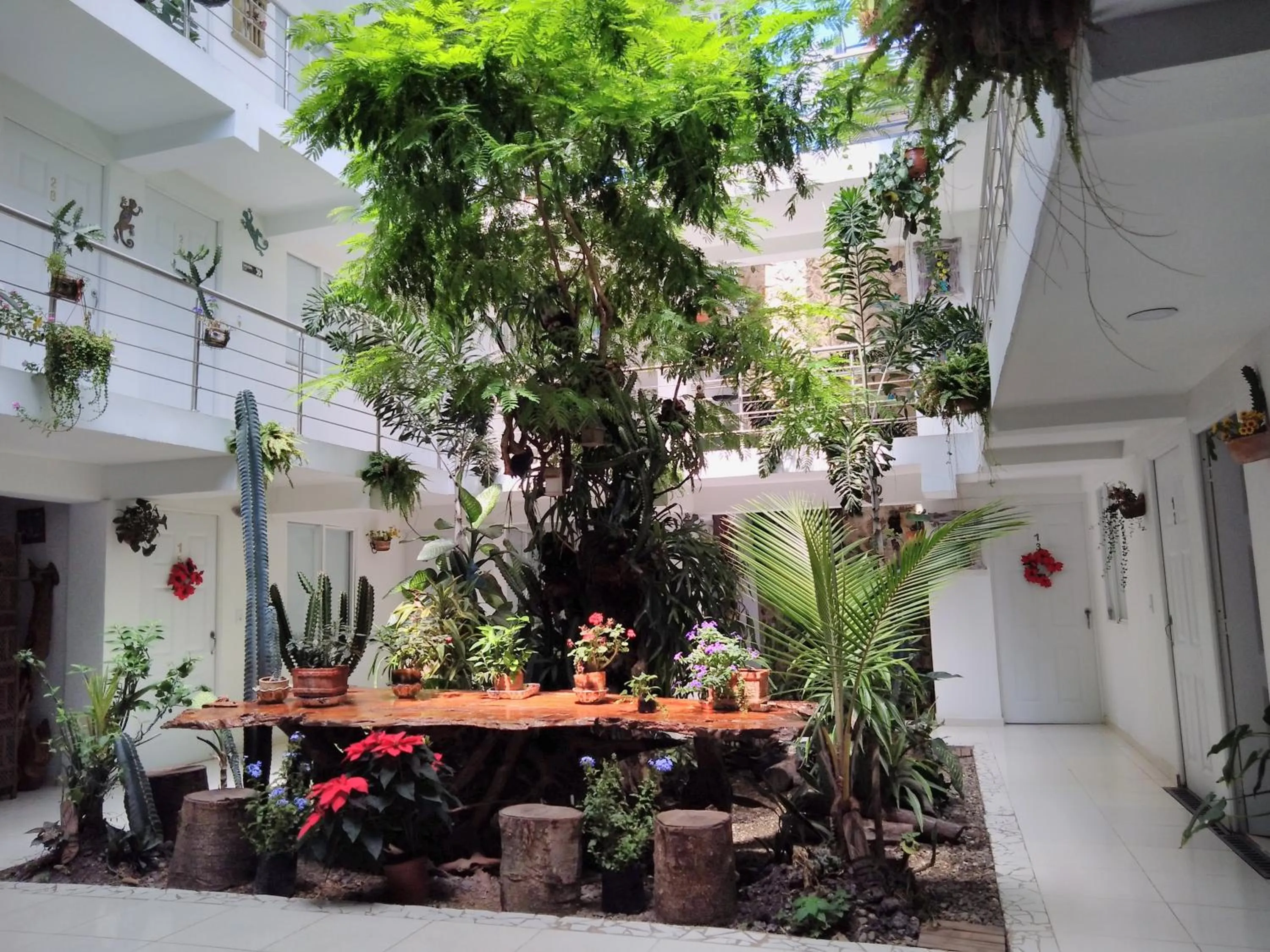 Patio in Hotel Boutique los Remansos