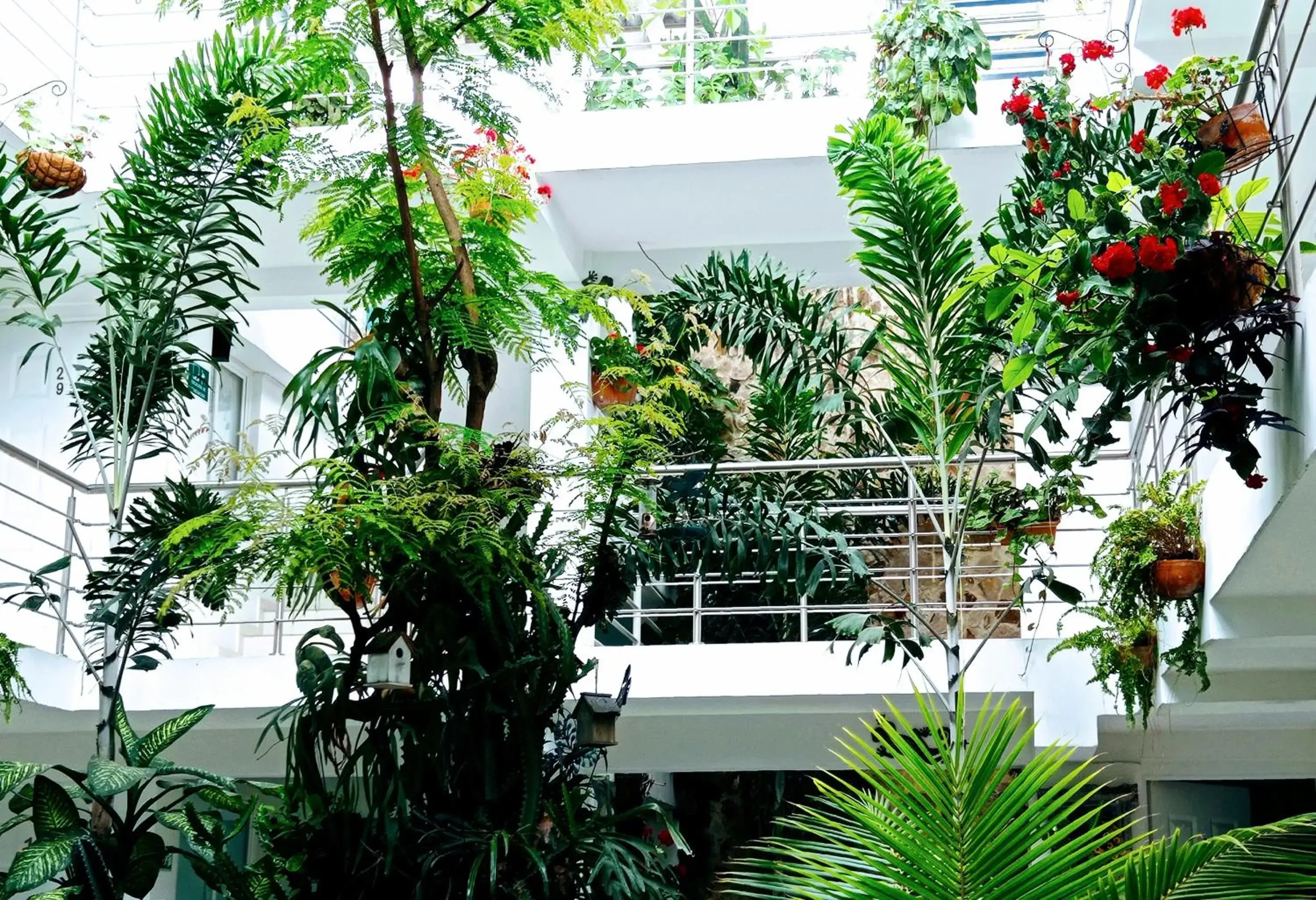 Family Studio - single occupancy in Hotel Boutique los Remansos Family Studio - single occupancy in Hotel Boutique los Remansos