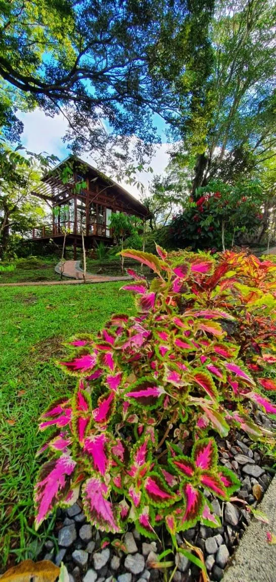 Property building in VillaHermosa B&B