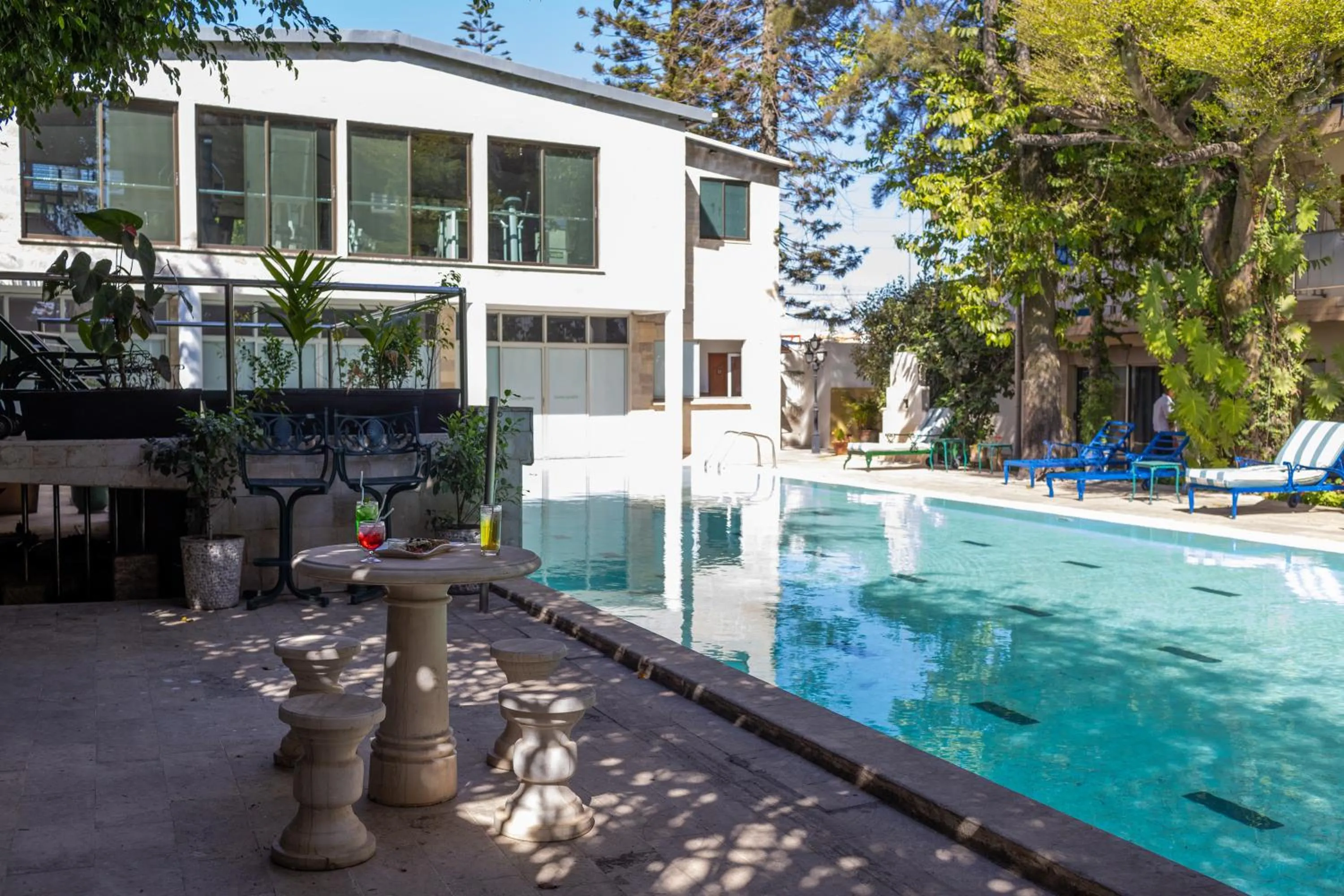 Patio in Sunny Garden