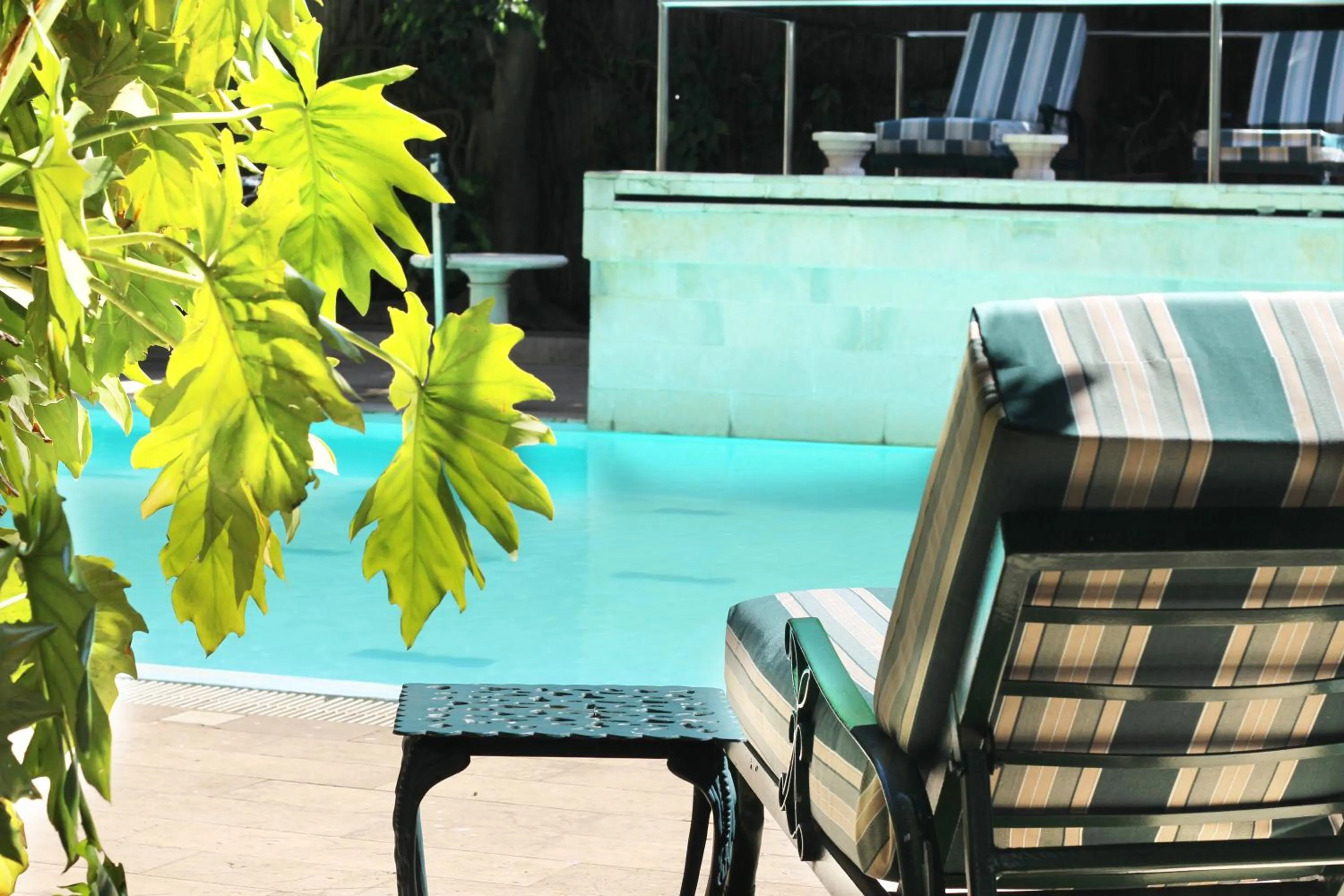 Pool view in Sunny Garden