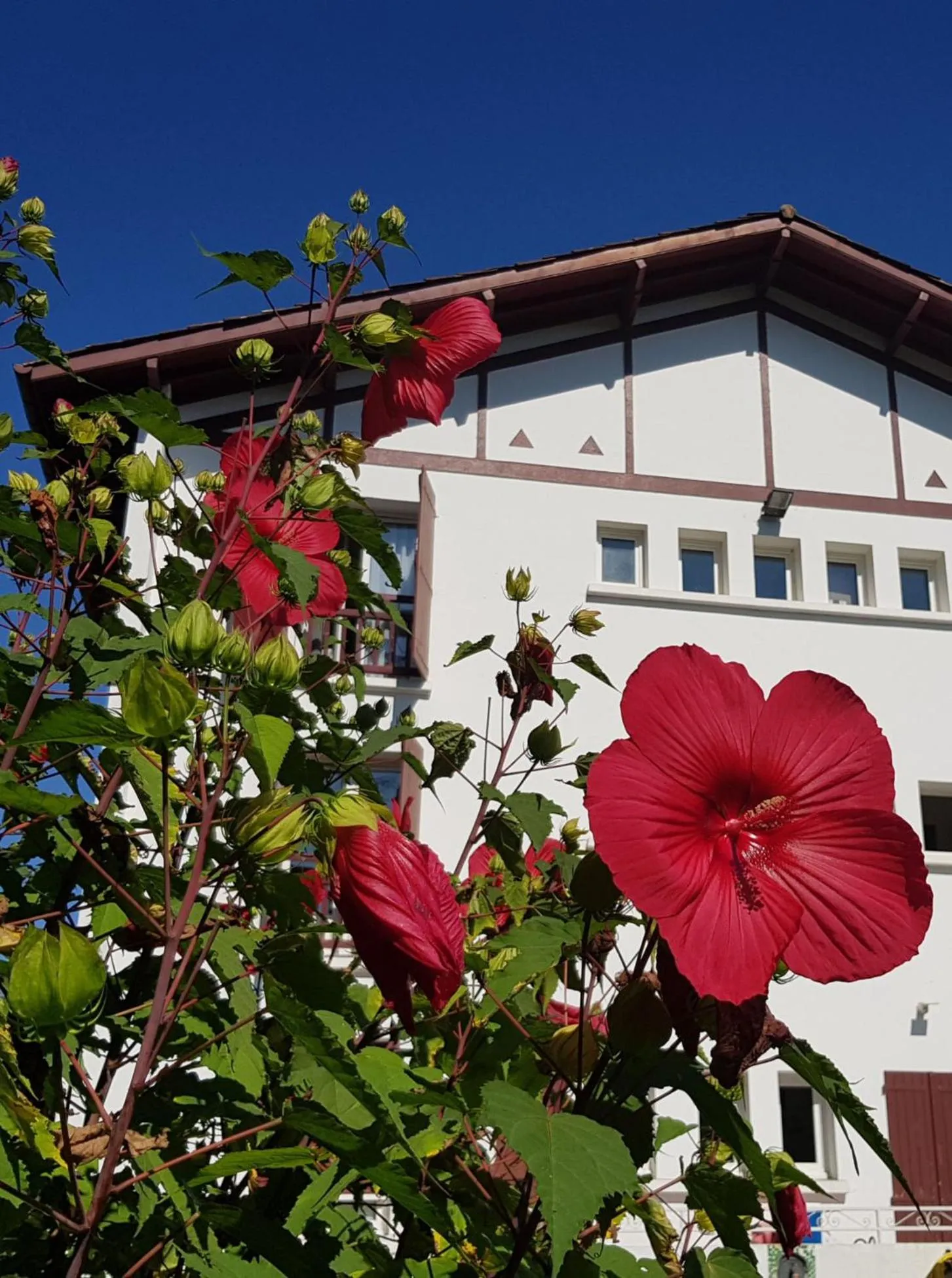 Property building in Hotel Pyrenées Atlantique