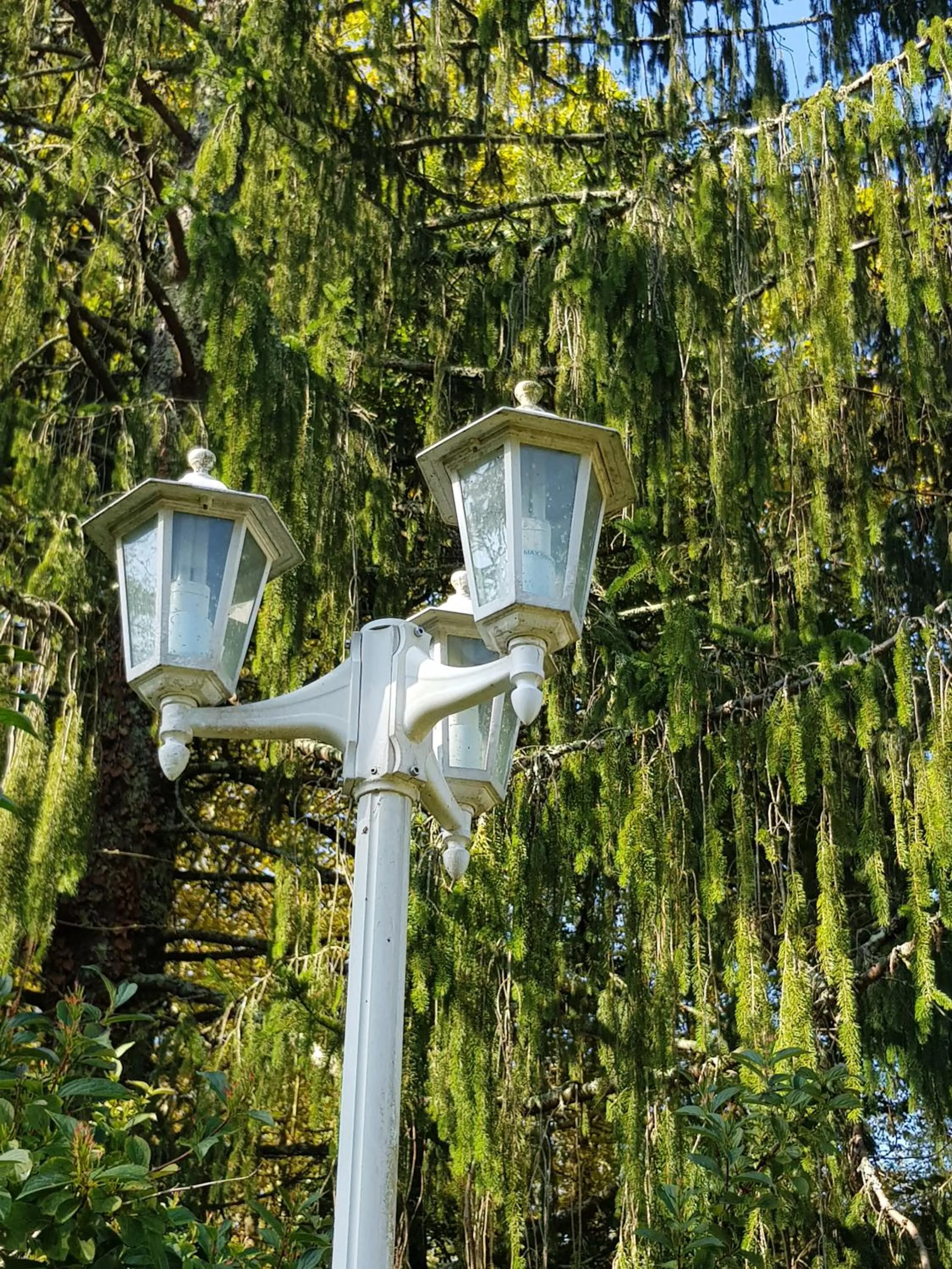 Garden in Hotel Pyrenées Atlantique