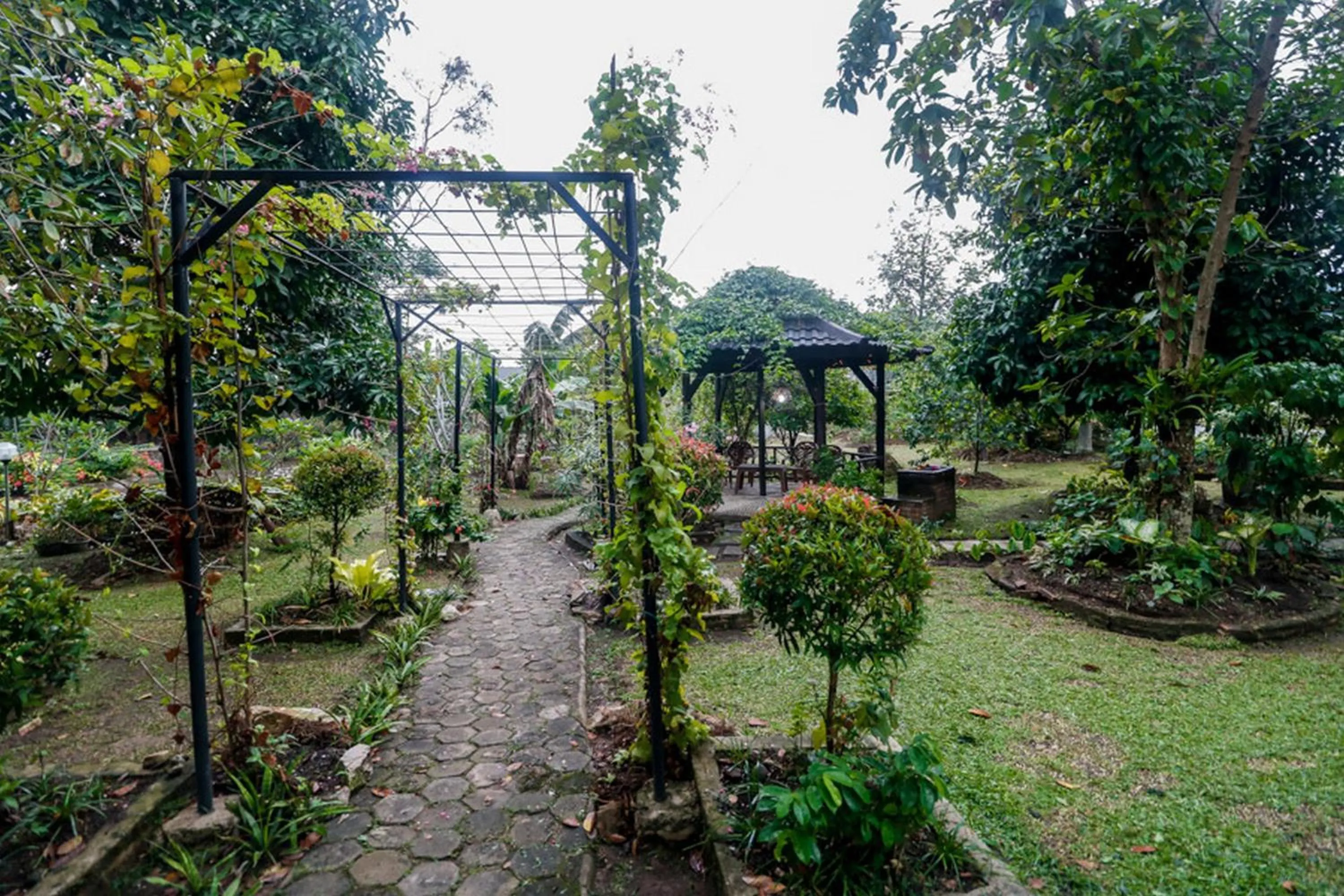 Garden in RedDoorz Syariah At Lampung Walk
