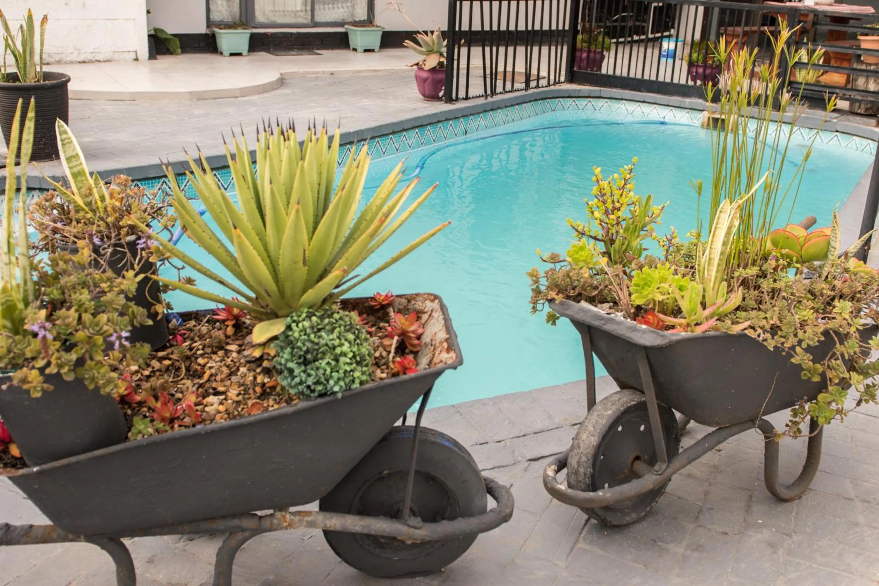Swimming pool in Mauya Guesthouse