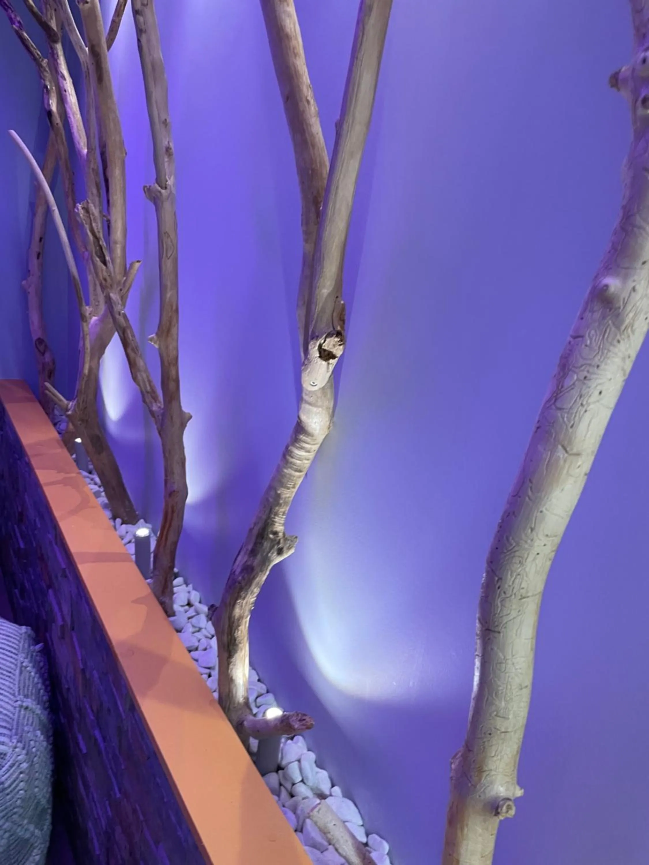 Spa and wellness centre/facilities in Hotel et Spa du Scharrach