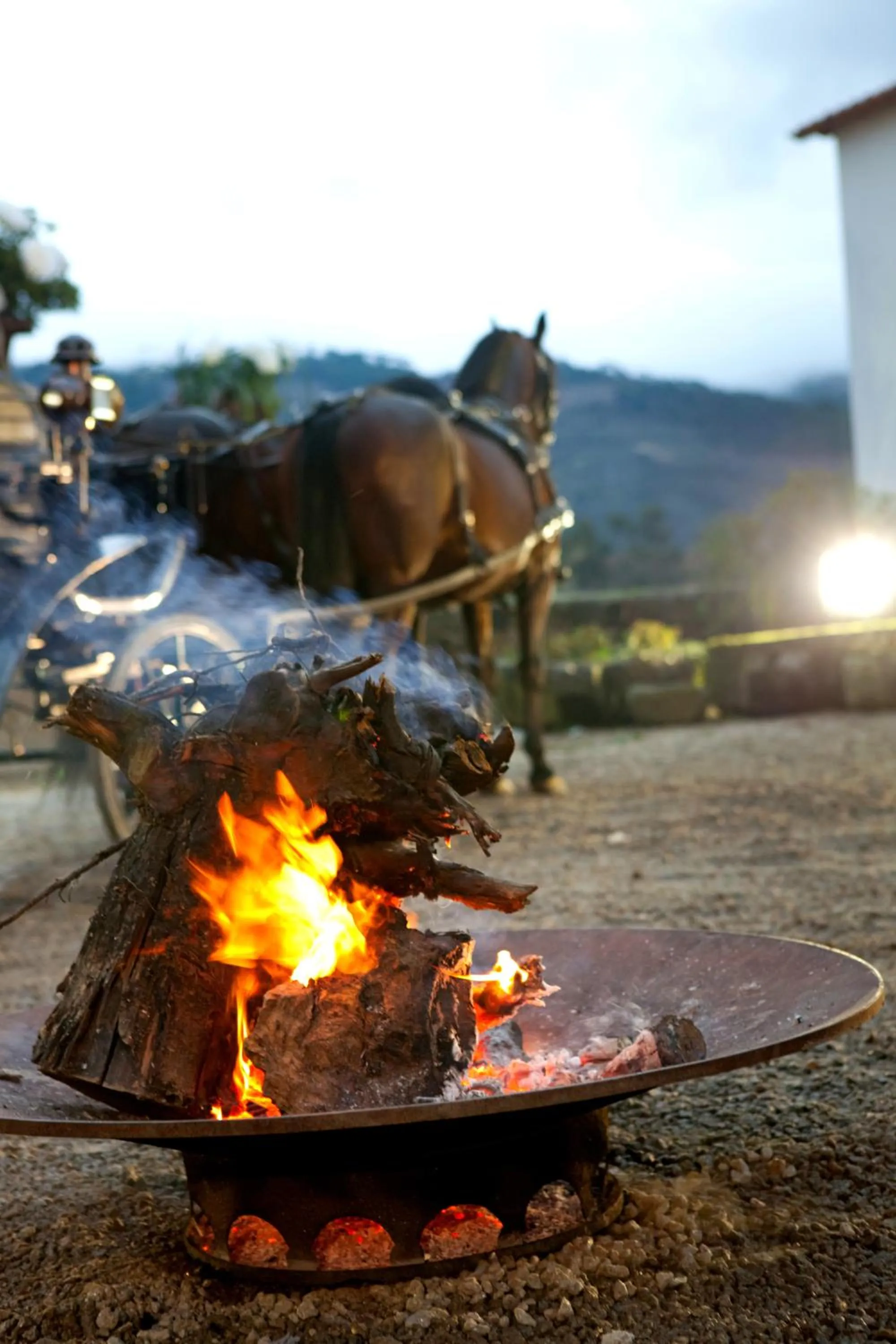 Other in Hotel Rural Casa dos Viscondes da Varzea