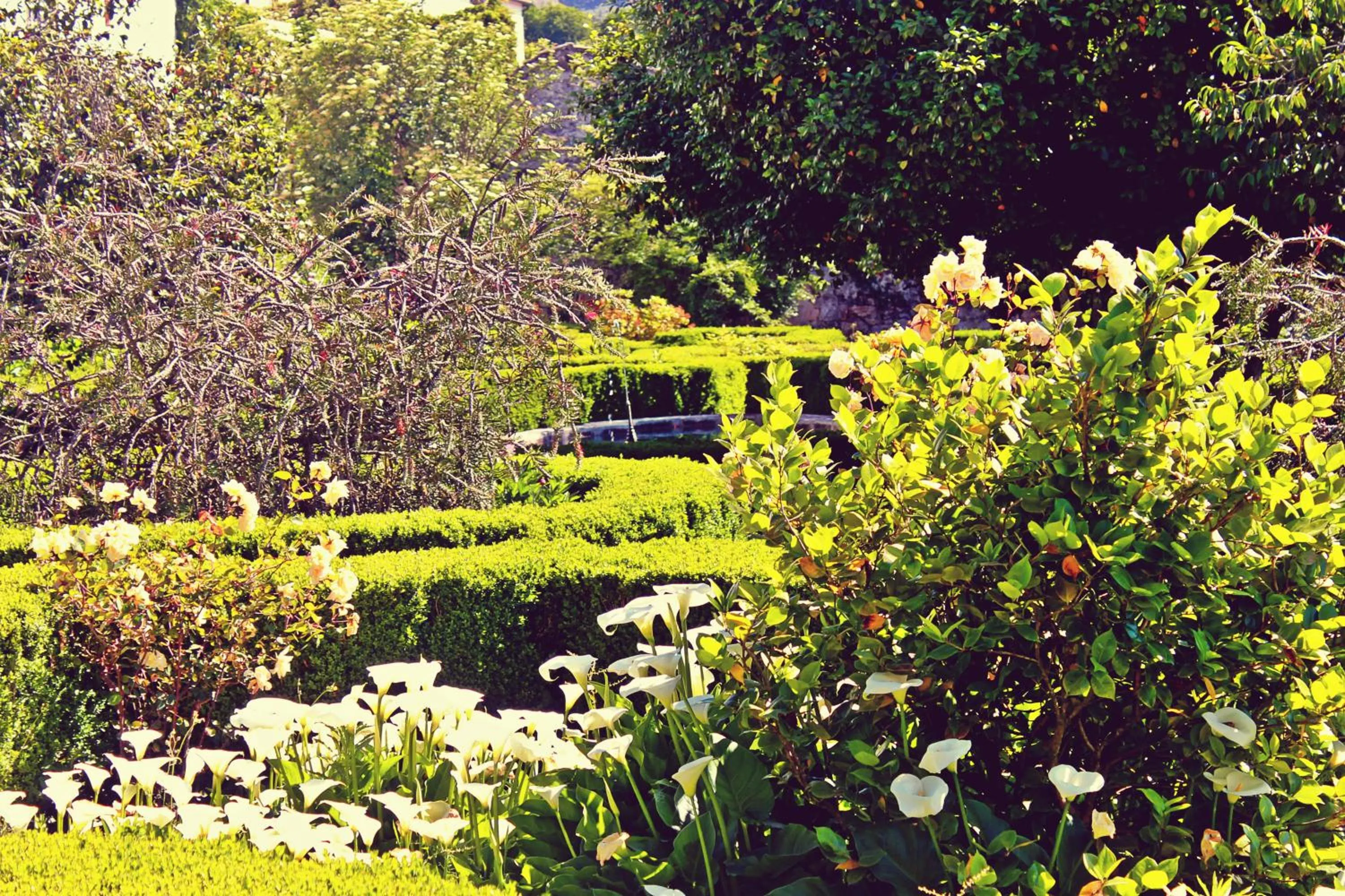 Garden in Hotel Rural Casa dos Viscondes da Varzea