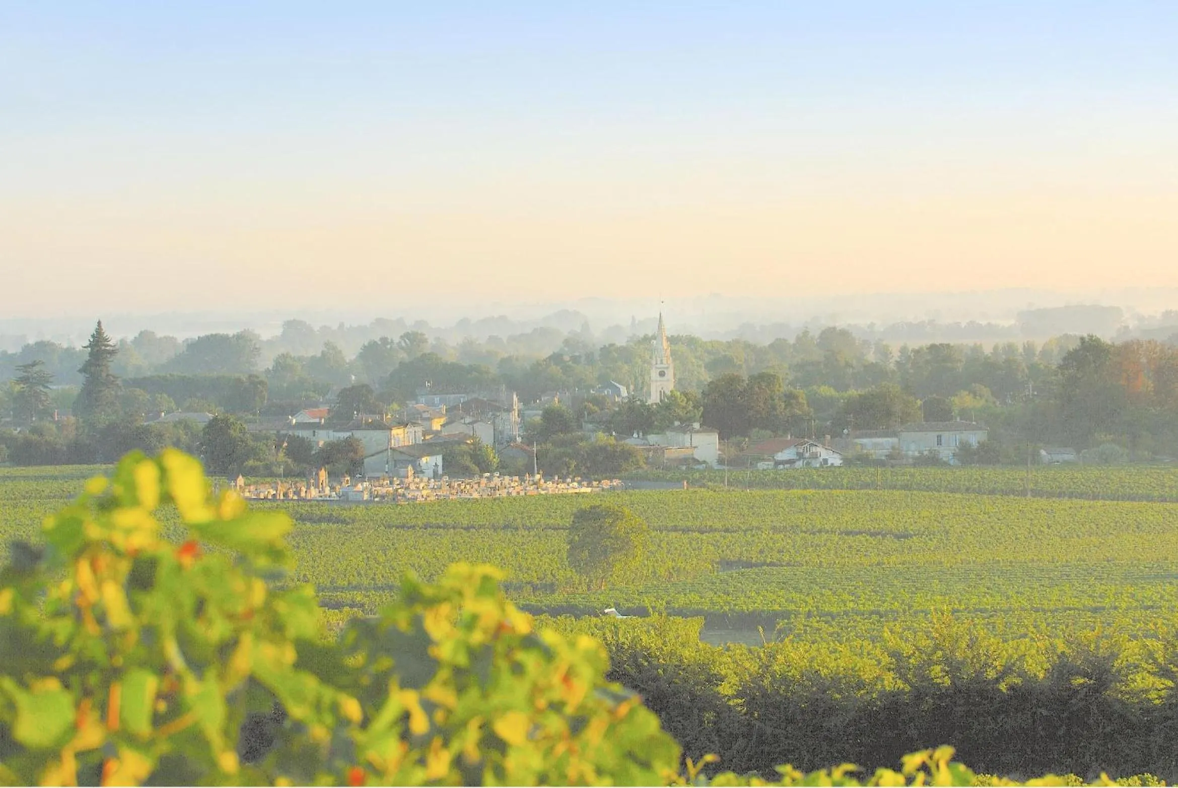 Activities in Chateau La Mothe du Barry