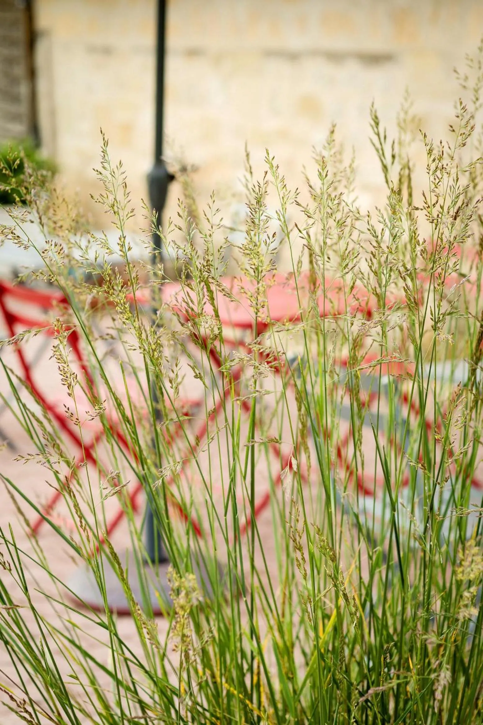 Balcony/Terrace in Chateau La Mothe du Barry