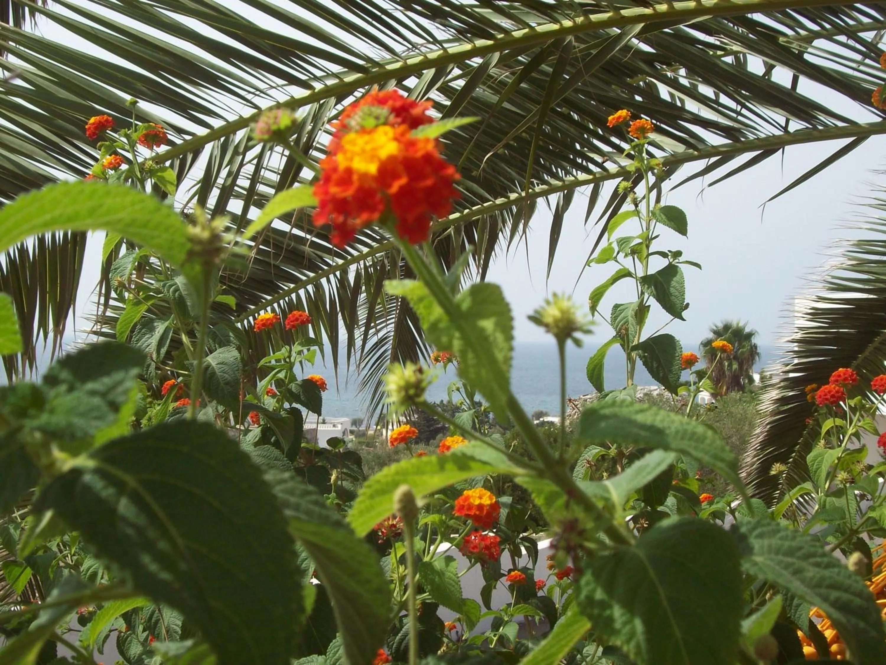 Other in Hotel Residence Miramare