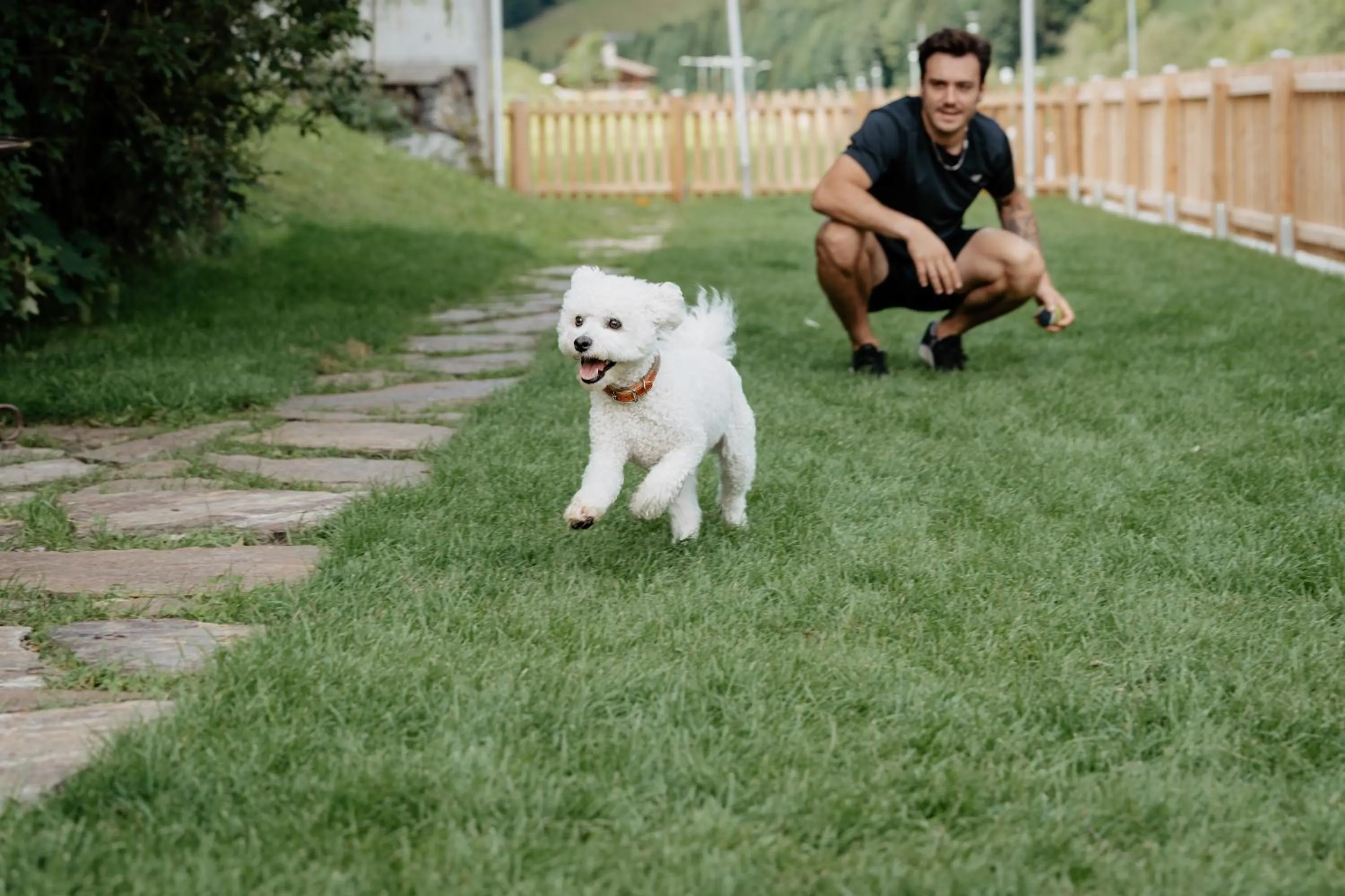 Pets in Boutique Hundehotel Bergzeit