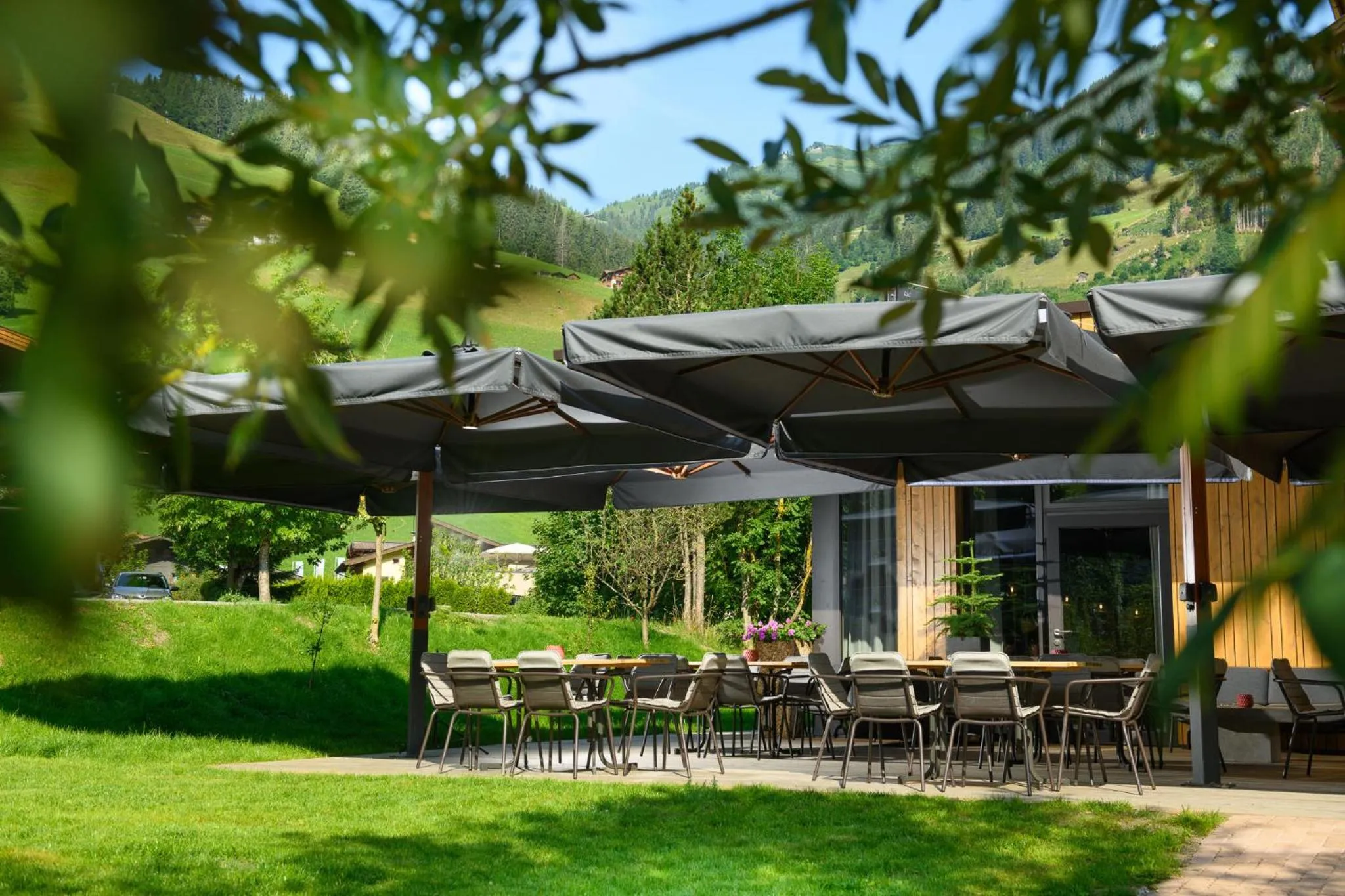 Balcony/Terrace in Boutique Hundehotel Bergzeit