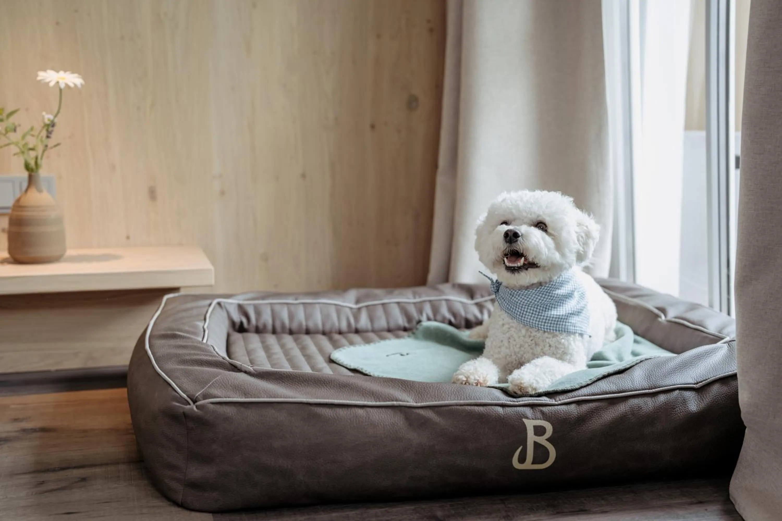 Pets in Boutique Hundehotel Bergzeit