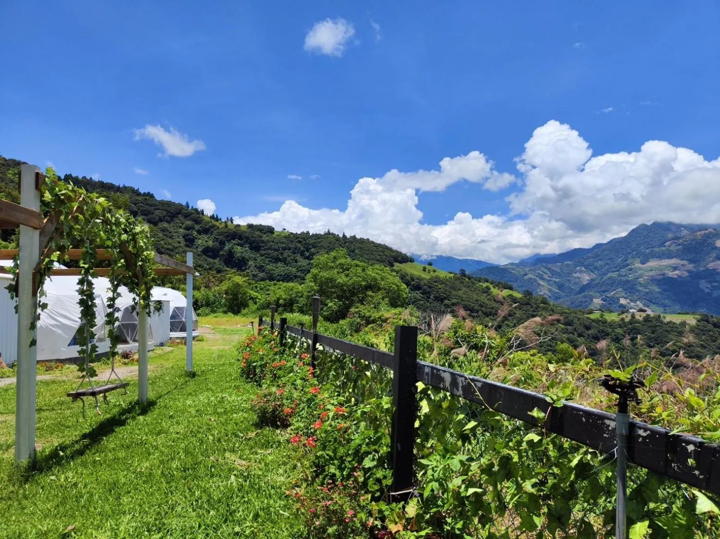 Natural landscape in Villa Relax