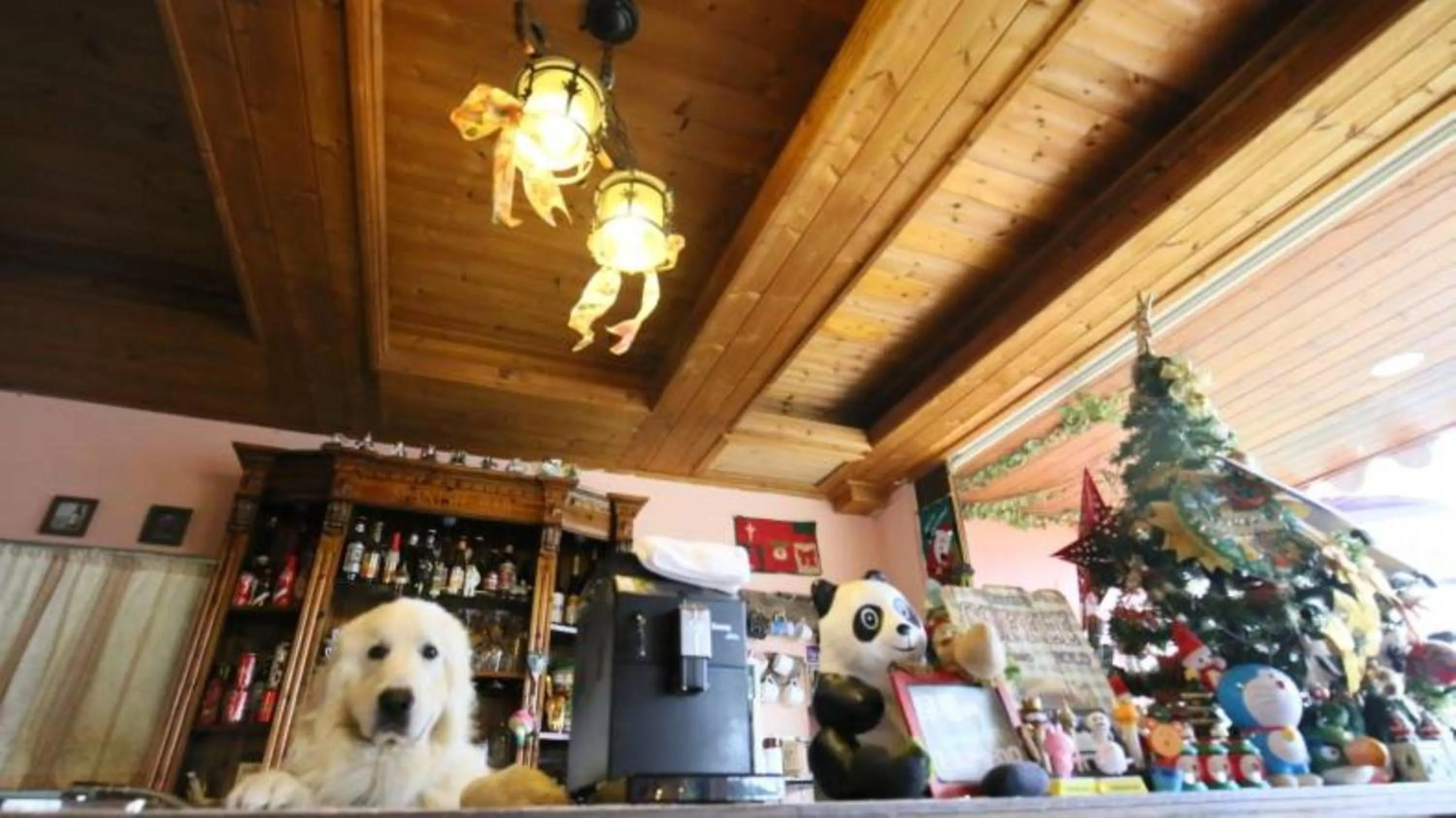 Lobby or reception in Villa Relax