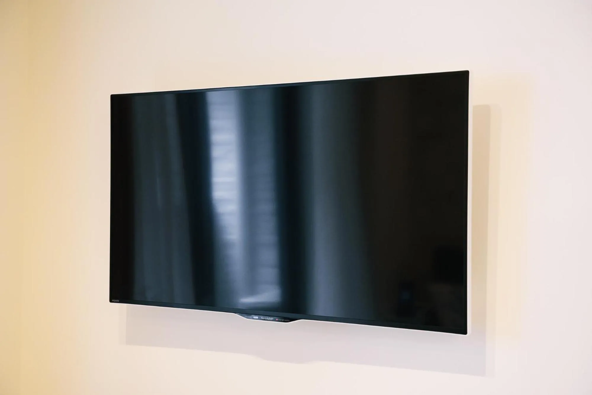 TV and multimedia in HOTEL Sui HARUYOSHI