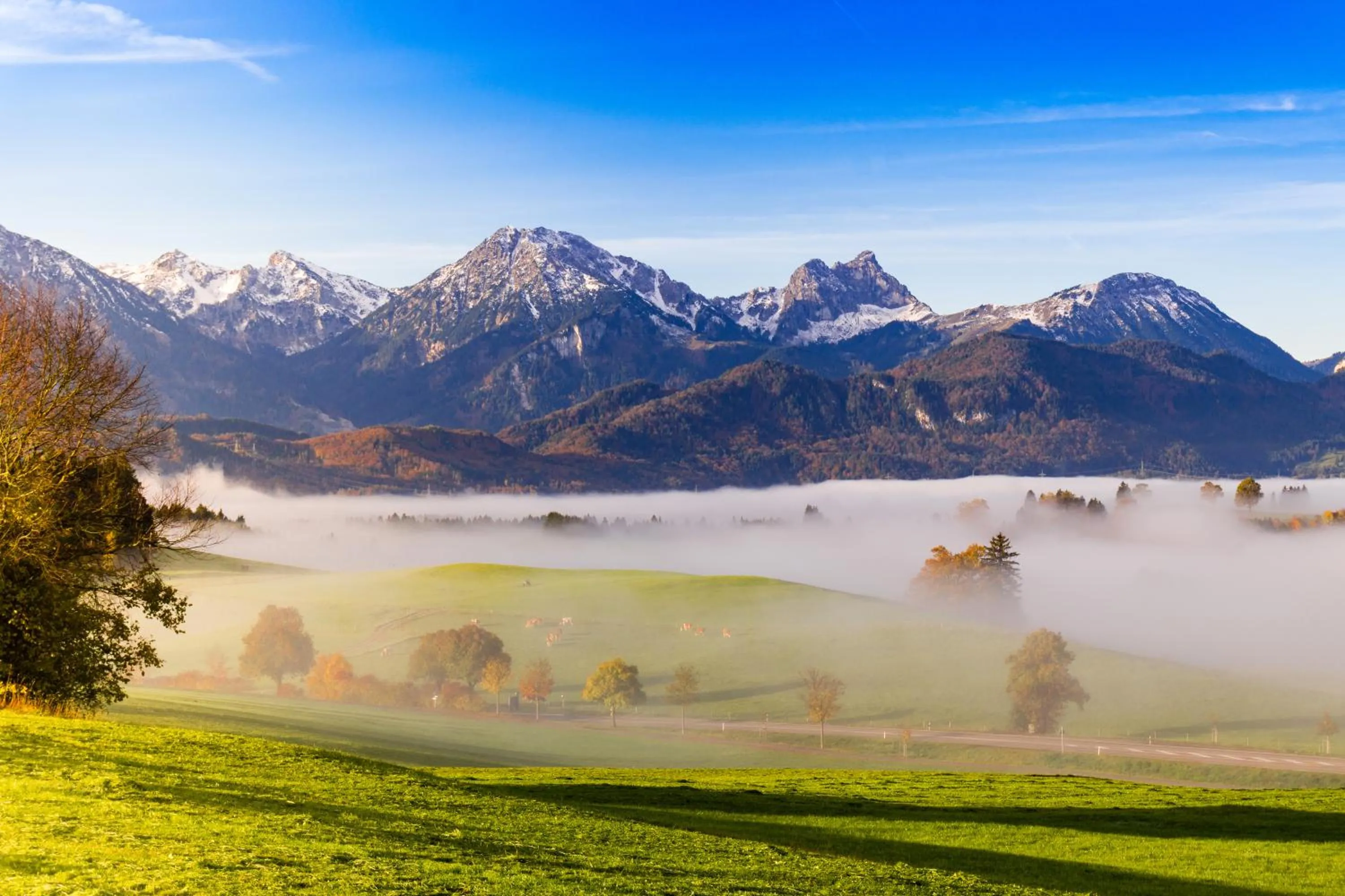 Natural landscape in Hartungs Hoteldorf