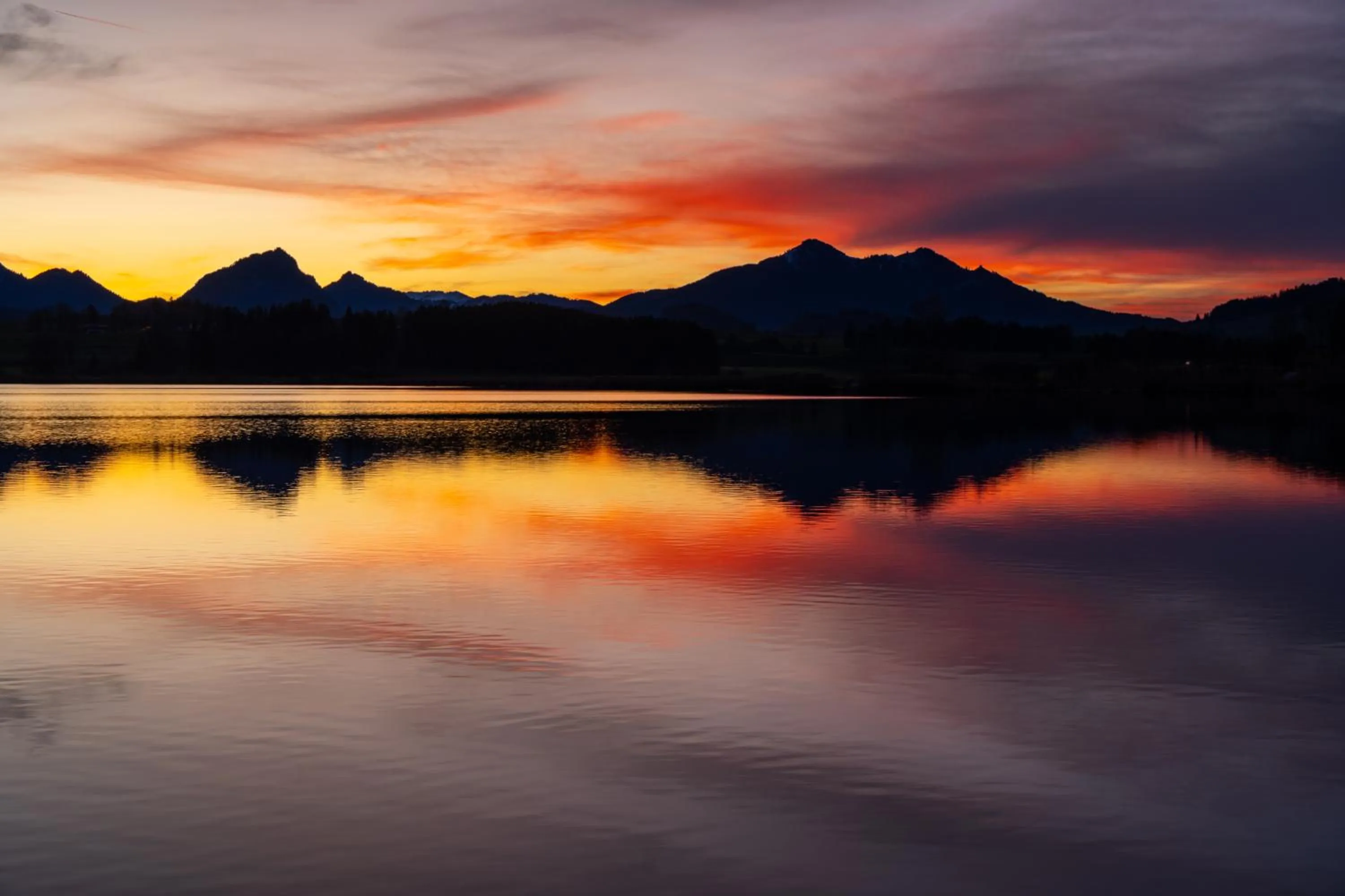 View (from property/room) in Hartungs Hoteldorf