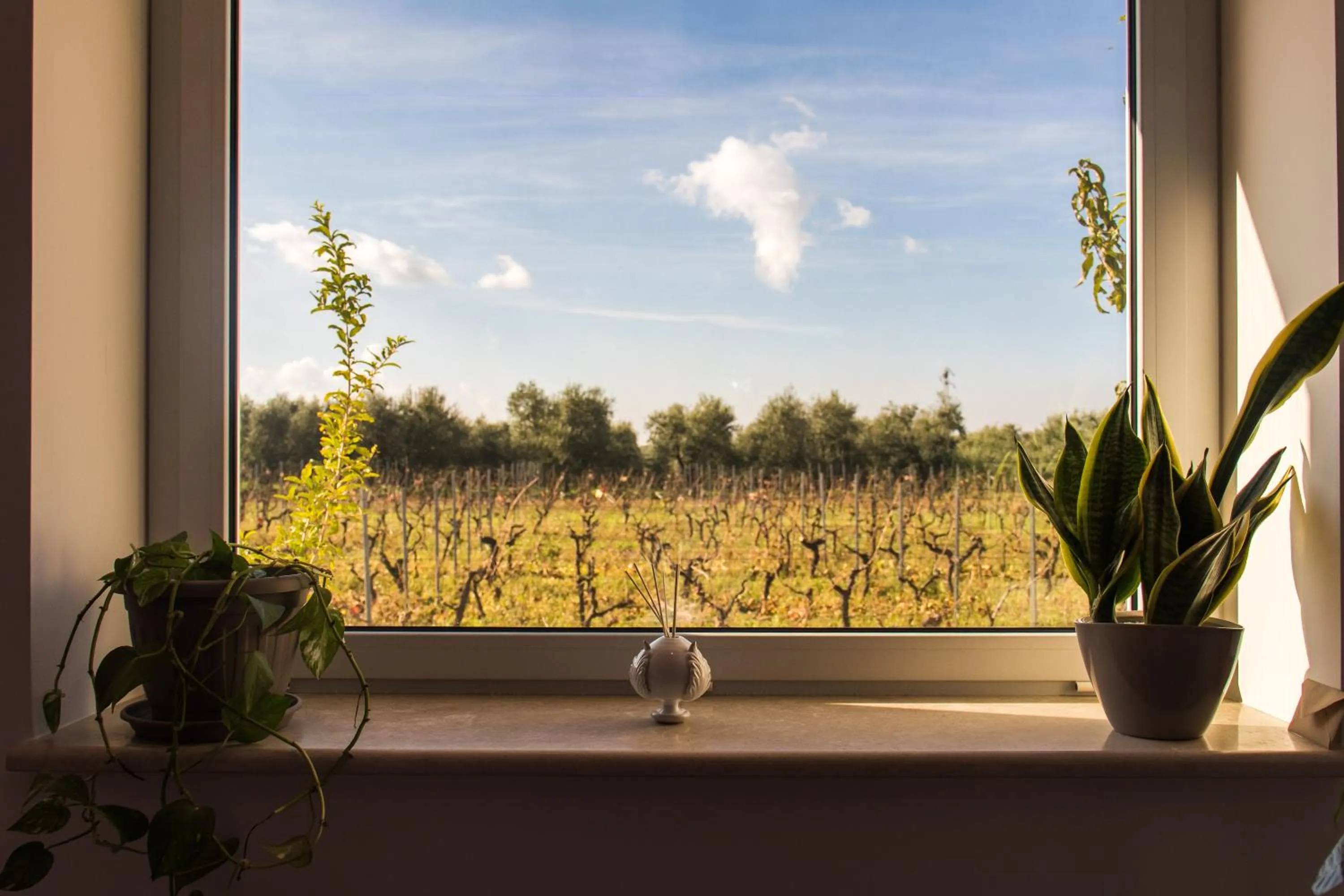 Garden view in Tenuta Vigna del Noce