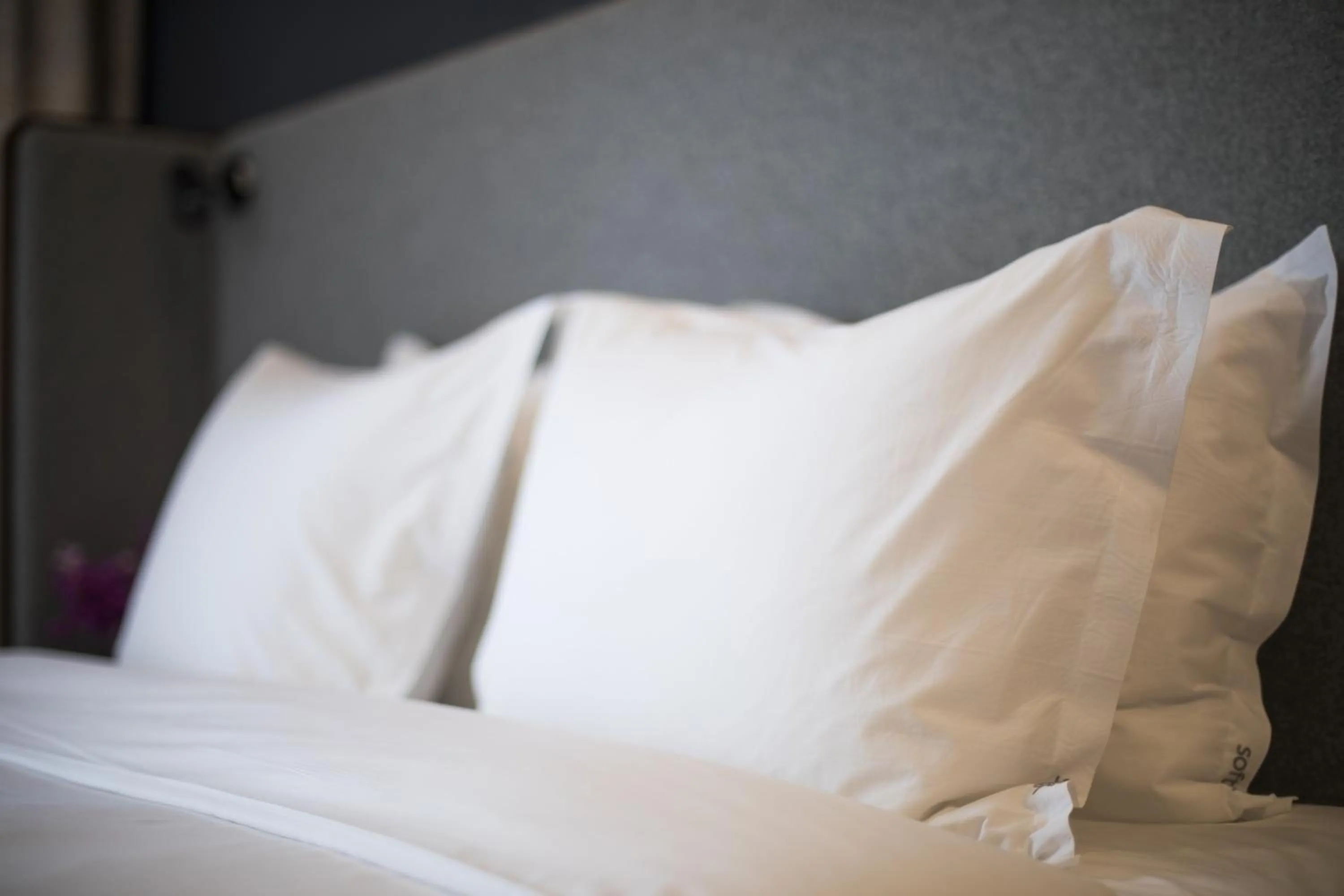 Photo of the whole room, Bed in Holiday Inn Express Zhangjiagang East by IHG