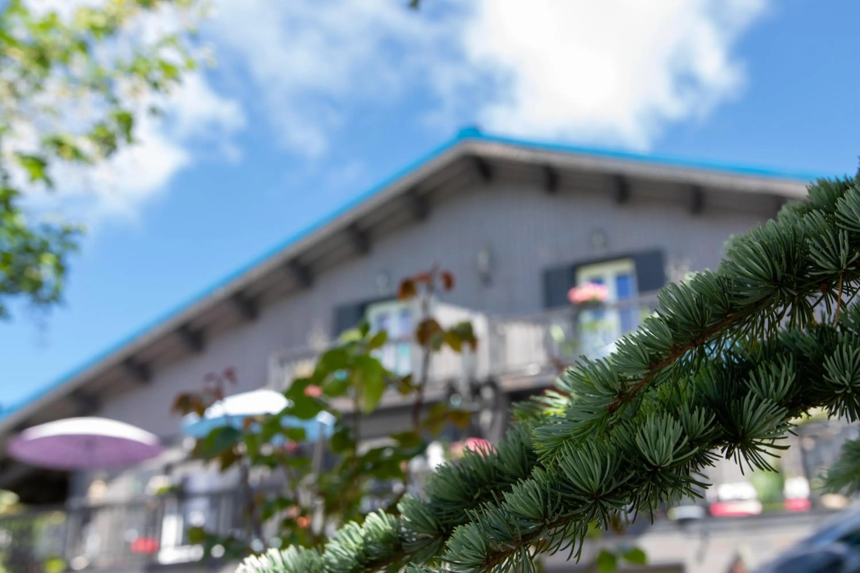 Garden in L'Alpen Roc