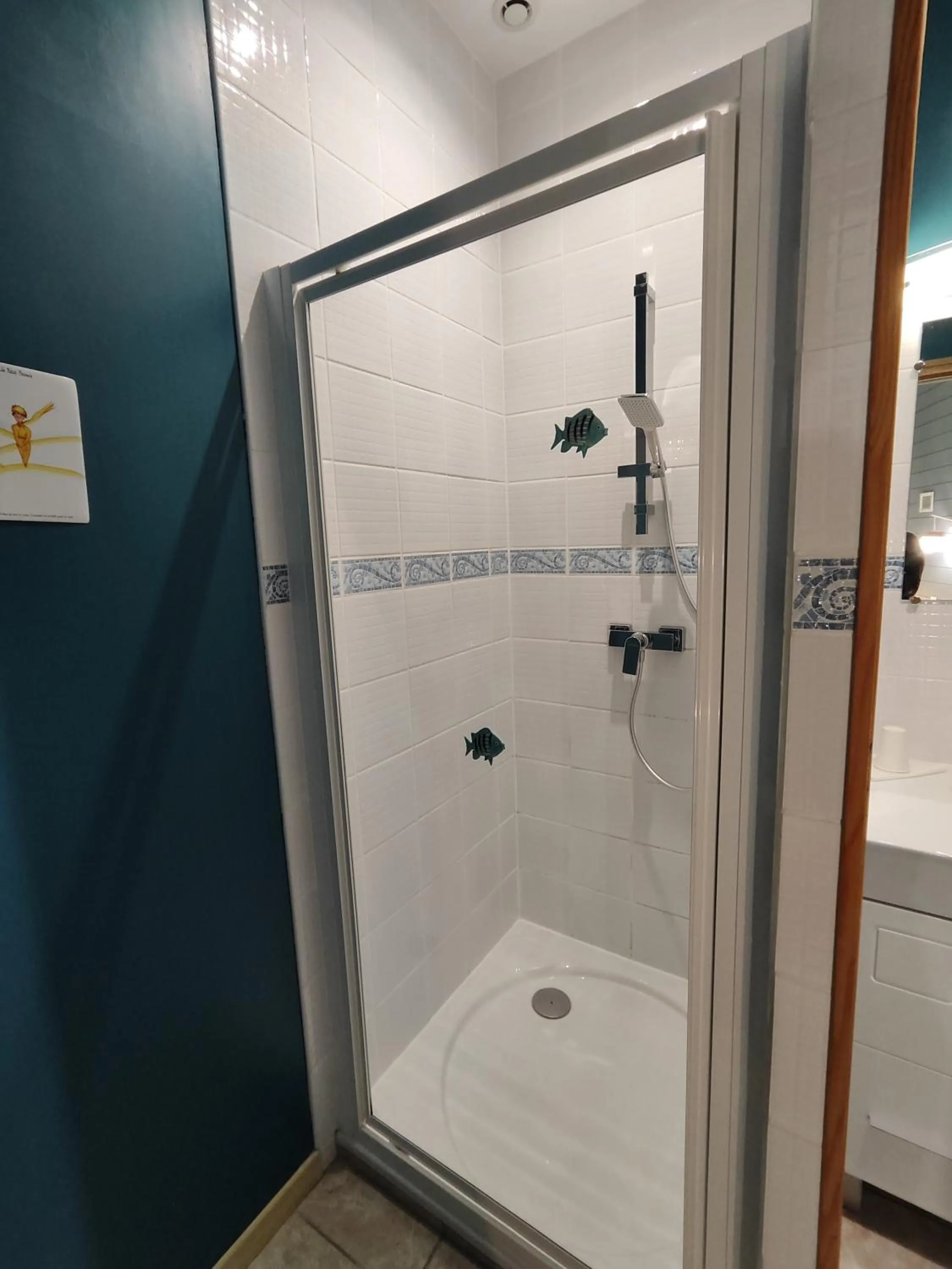 Shower in La ferme aux chats