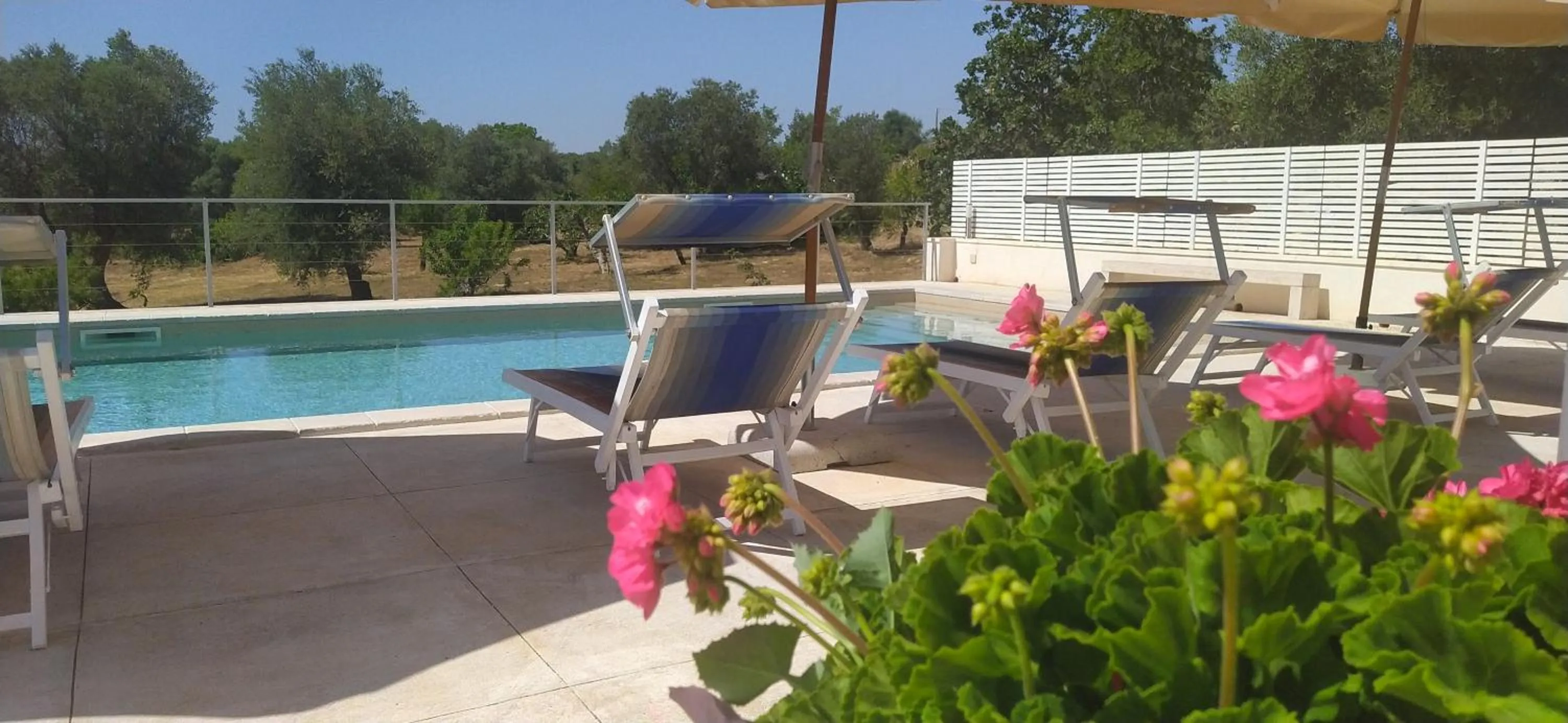 Swimming pool in Lem Lem B&B