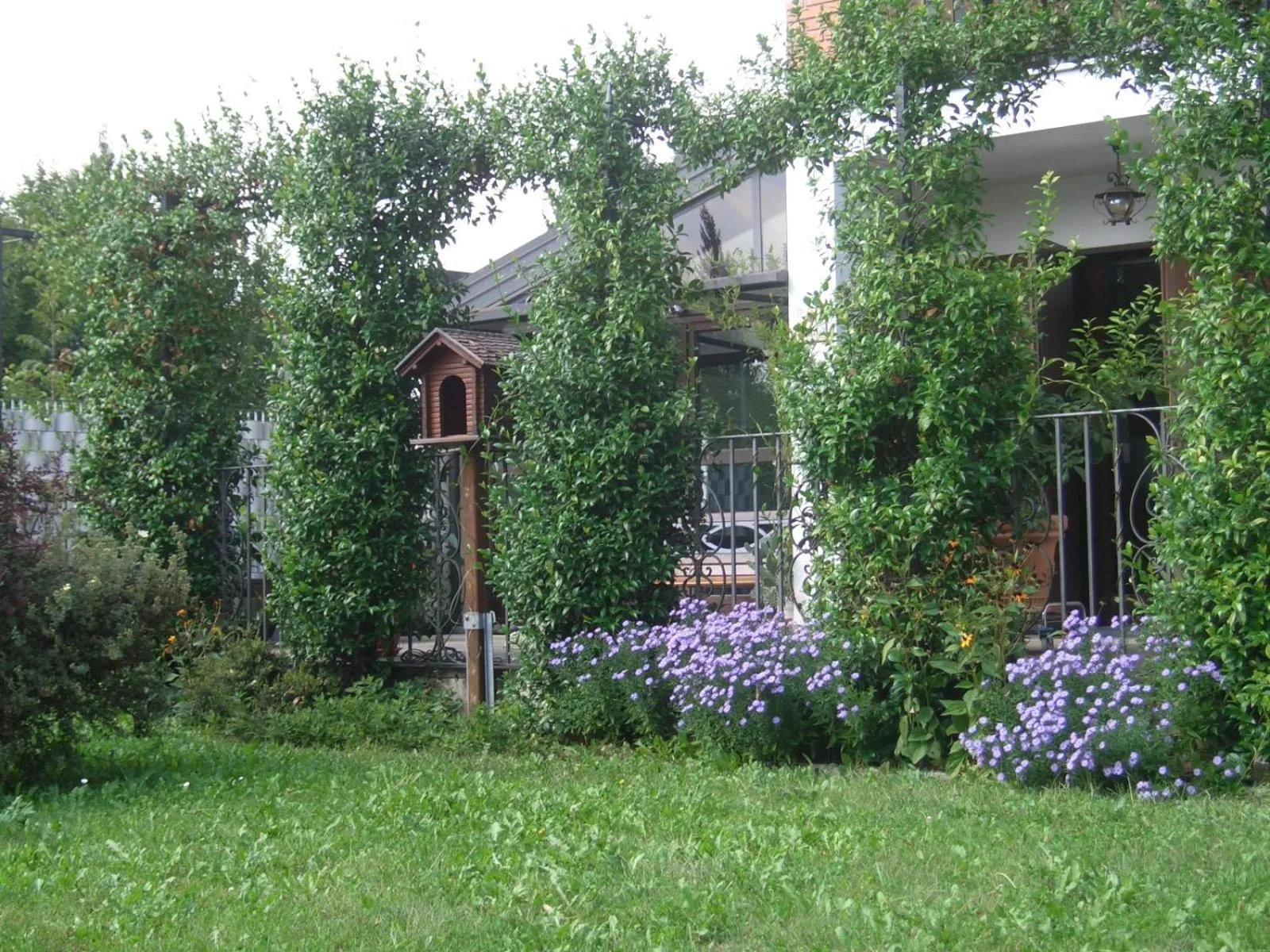 B&B SCACCIA PENSIERI