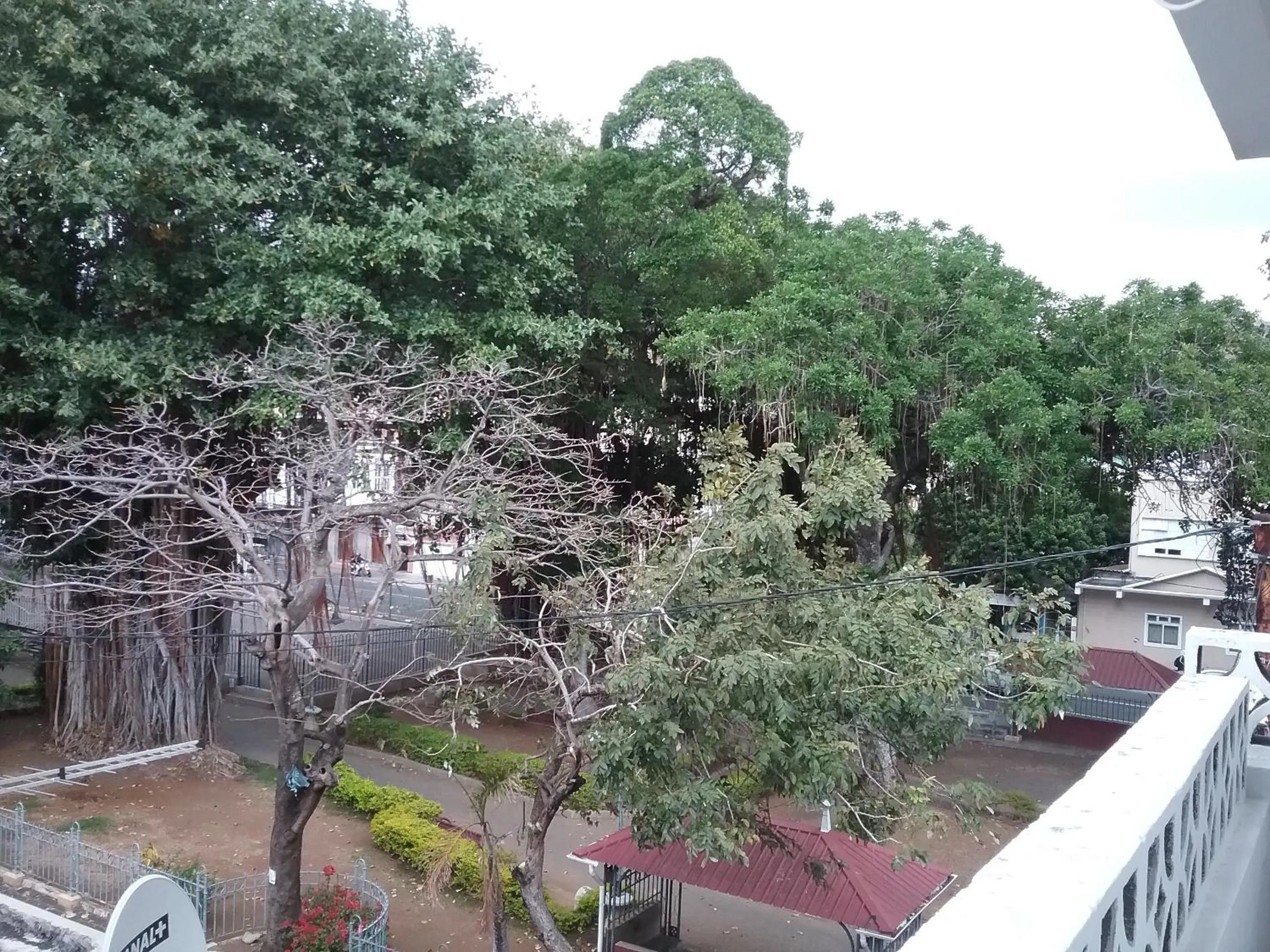 Garden view in La Plaine Verte Guesthouse