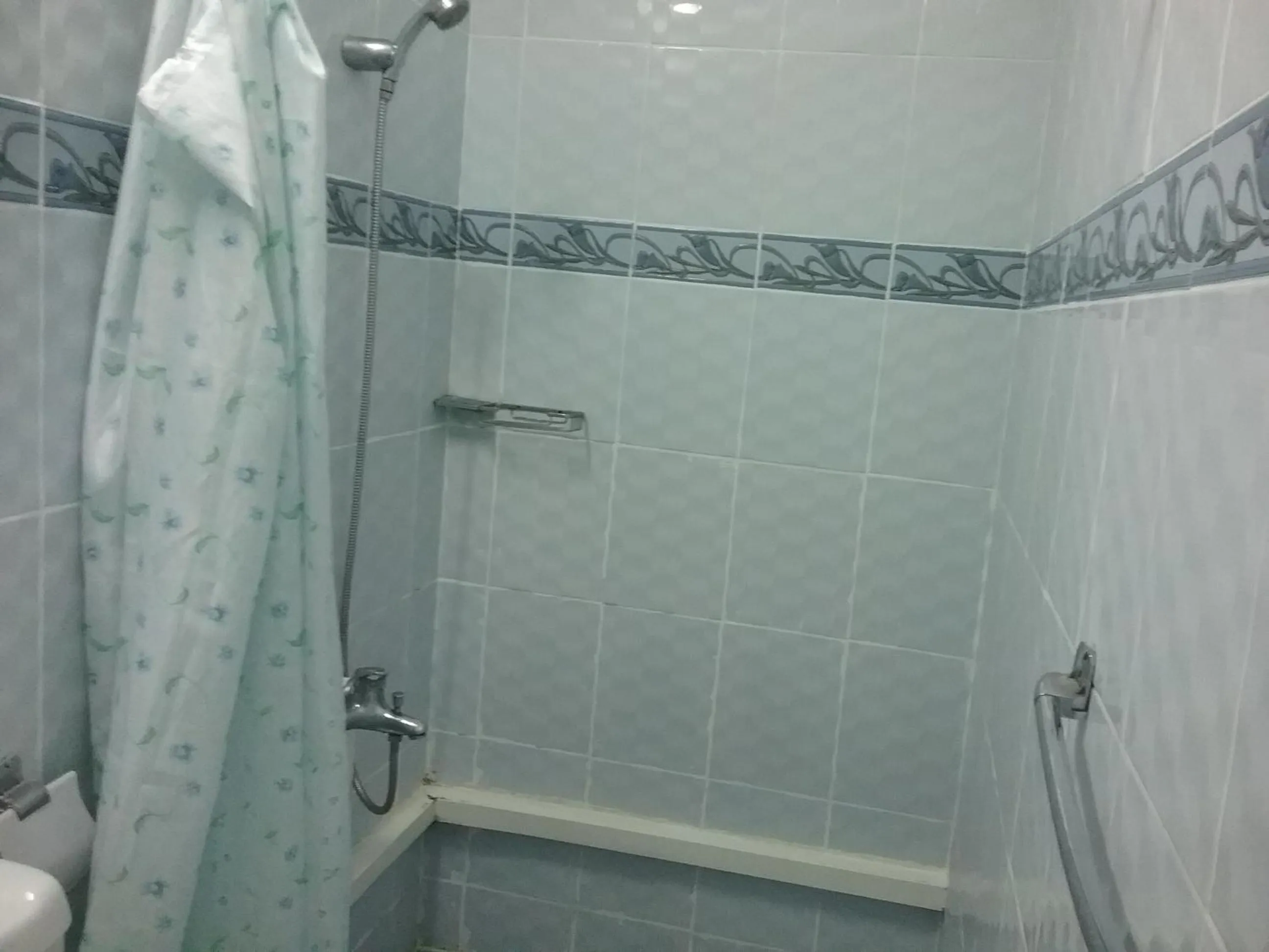 Shower in La Plaine Verte Guesthouse