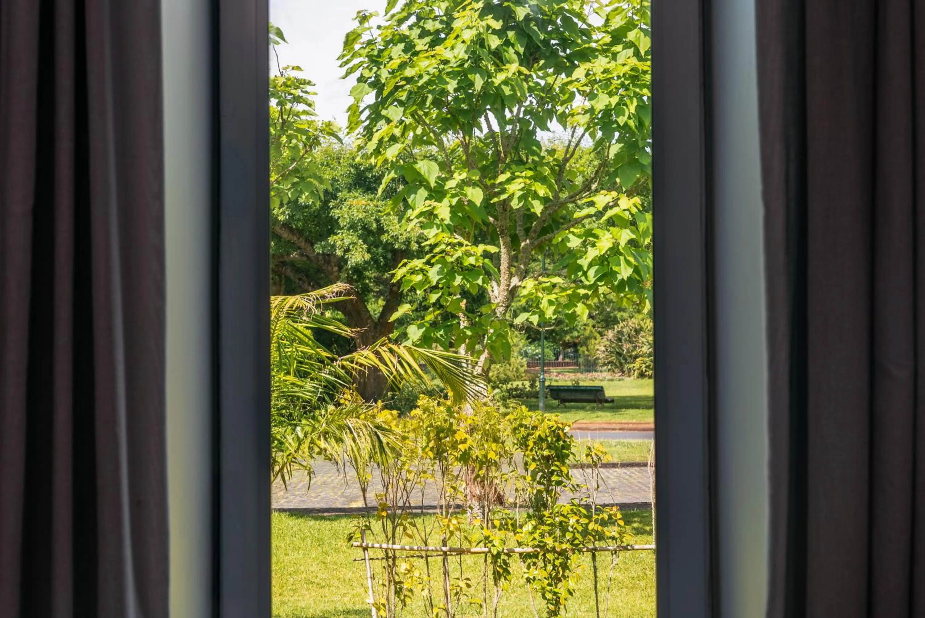 Natural landscape in Octant Furnas