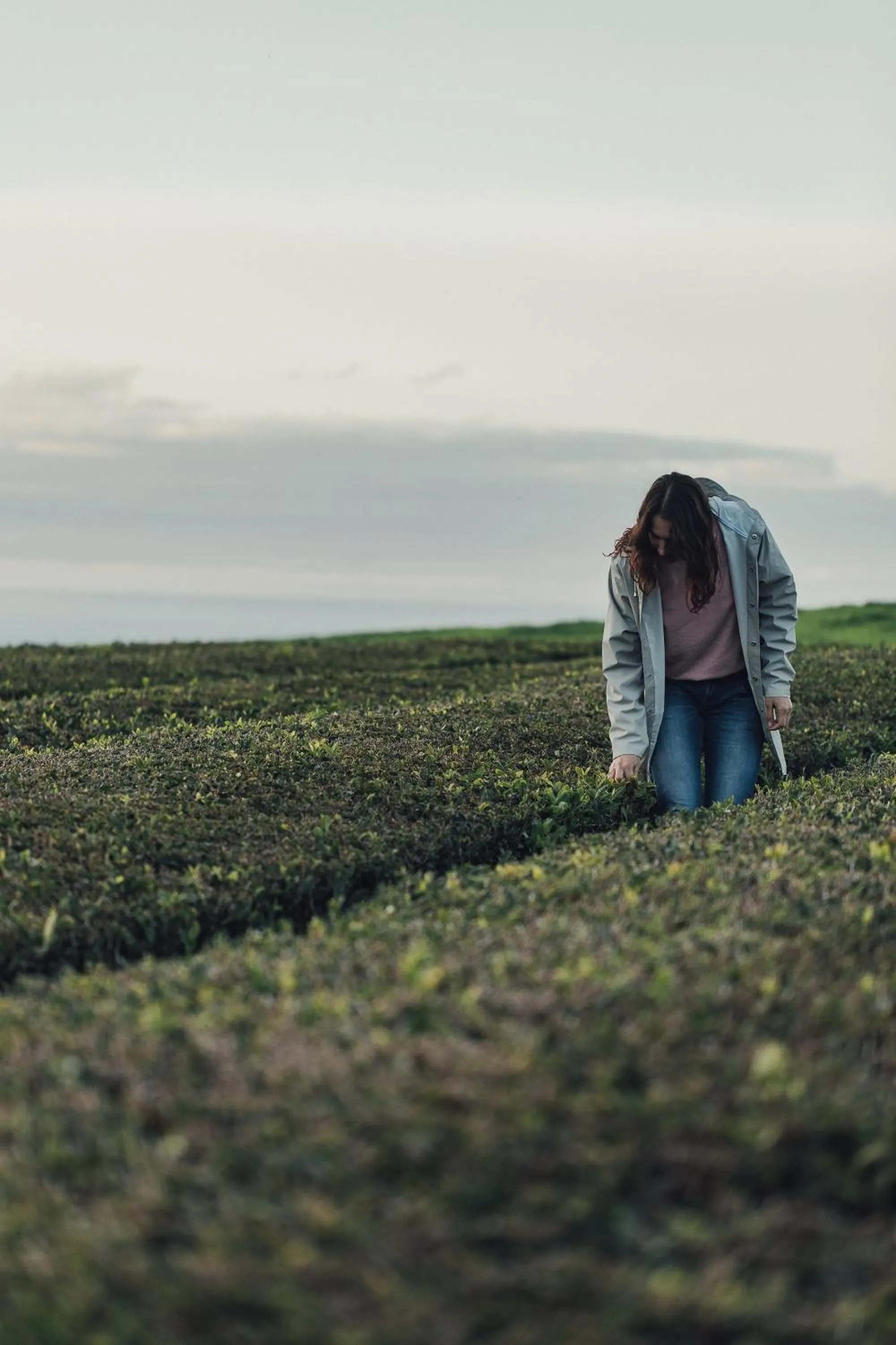 Natural landscape in Octant Furnas