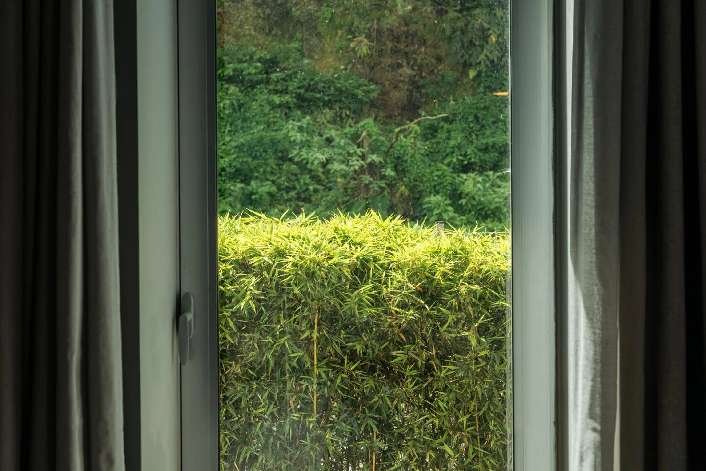 Natural landscape in Octant Furnas