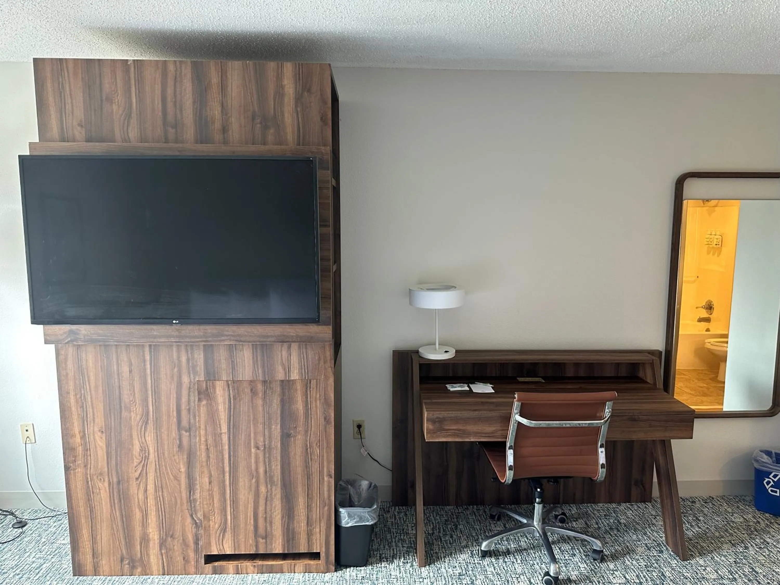 TV and multimedia in Wingate by Wyndham Hattiesburg