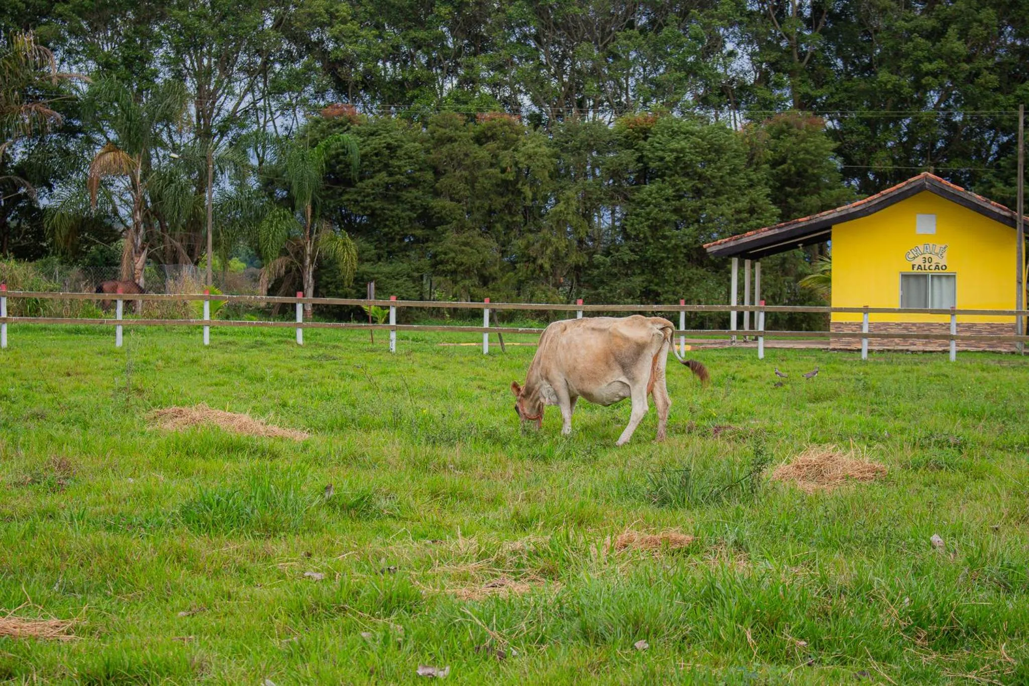Natural landscape in Hotel Fazenda Pé da Serra
