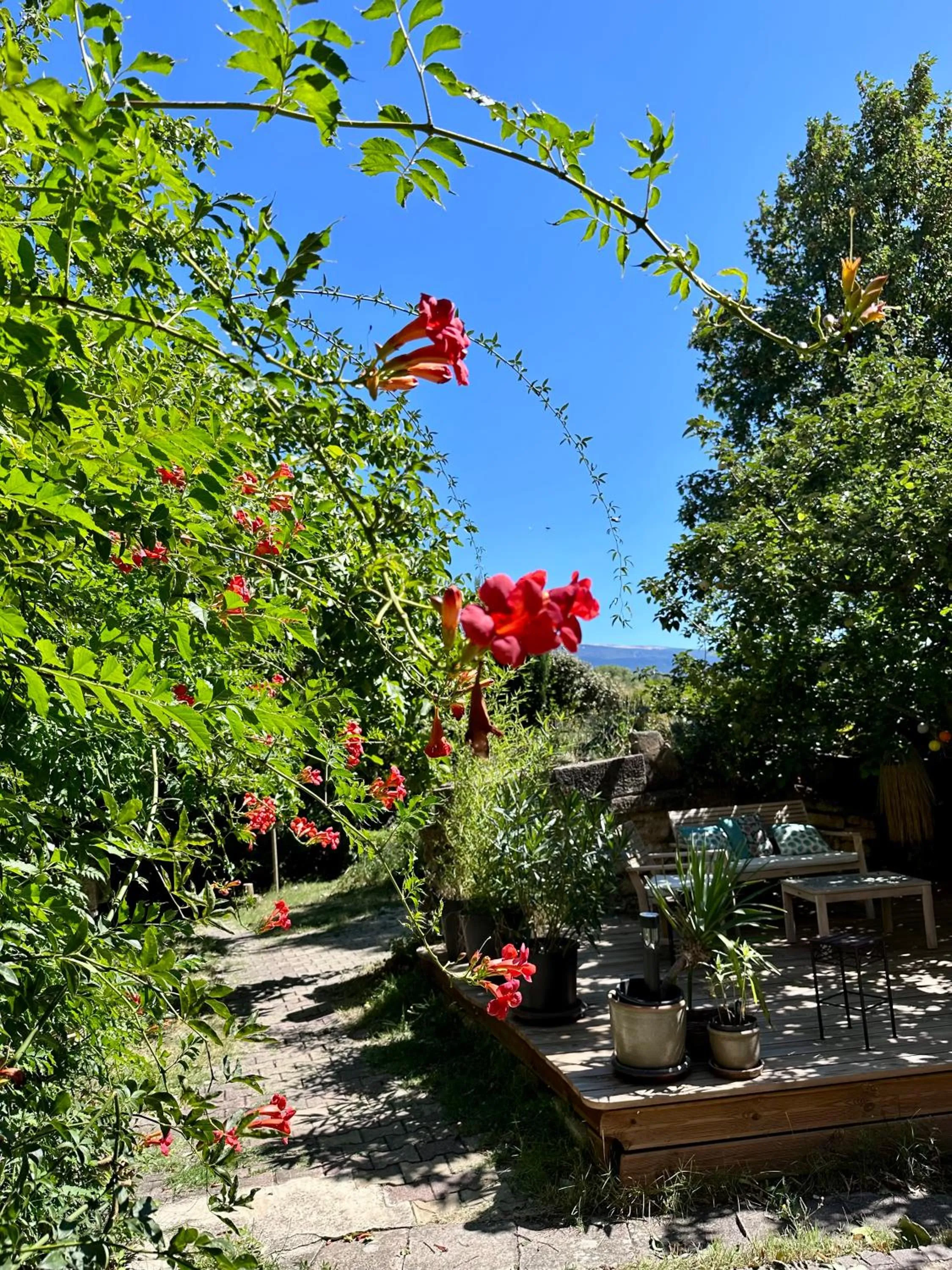 Moulin d'Antelon B&B