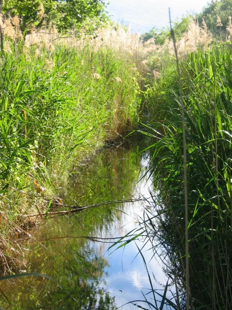 River view in Moulin d'Antelon B&B