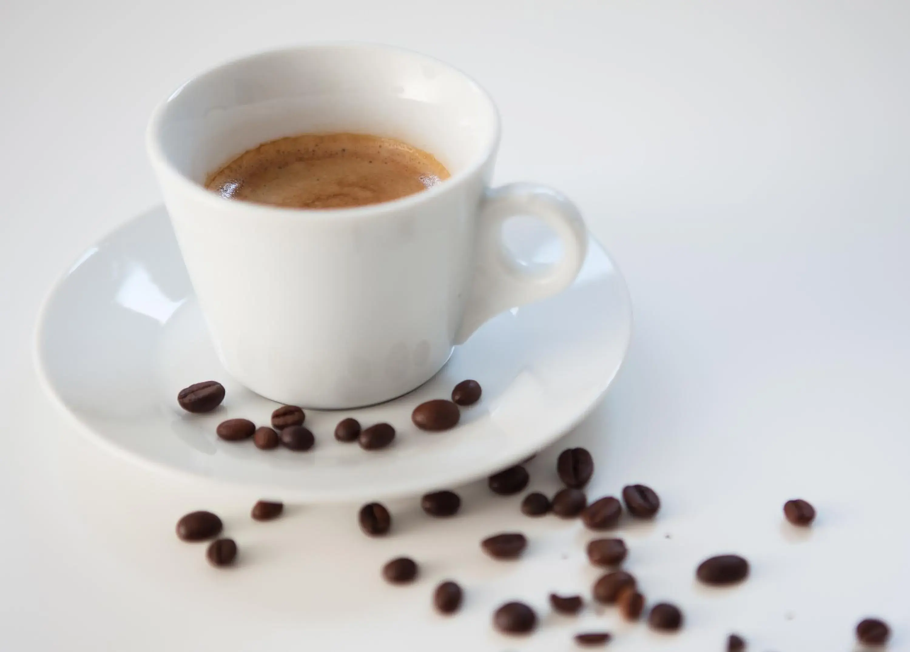 Business Apartment in Living In Aparthotel Business Apartment in Living In Aparthotel