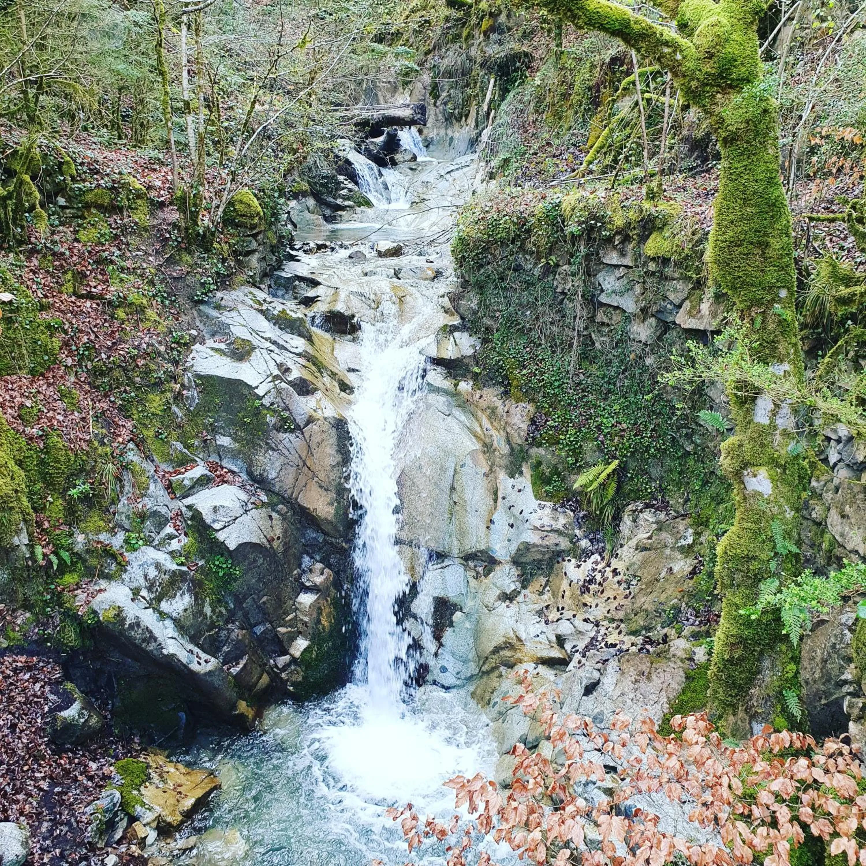 Natural landscape in Auberge La Caverne