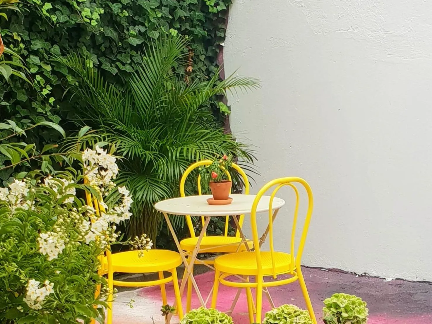 Patio in SUPERNOVA Hostel