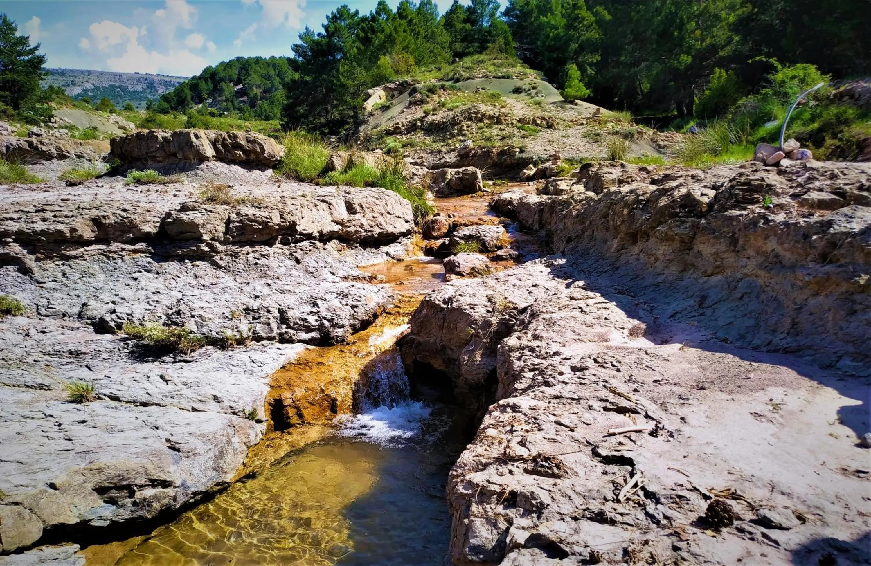 Natural landscape in Hotel Rural Curia