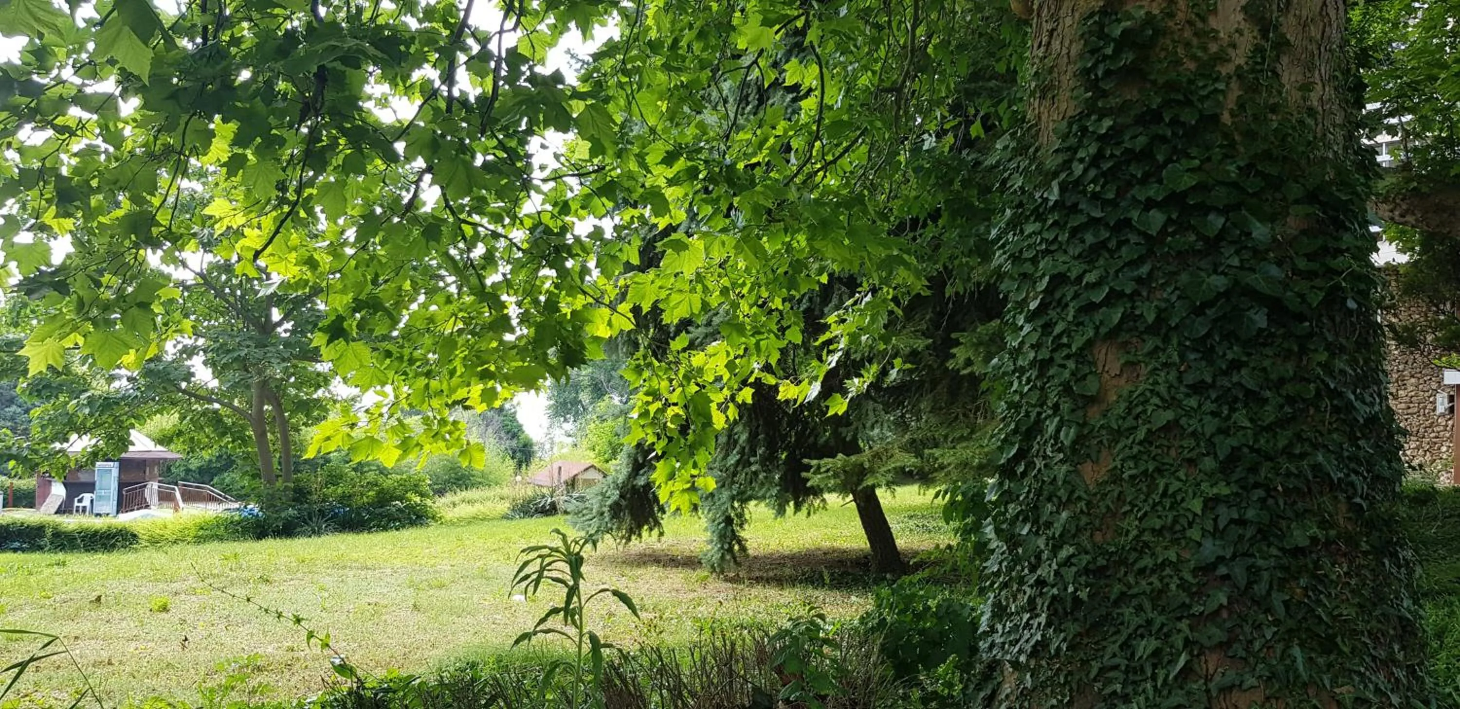 Natural landscape in International House of Journalists Resort