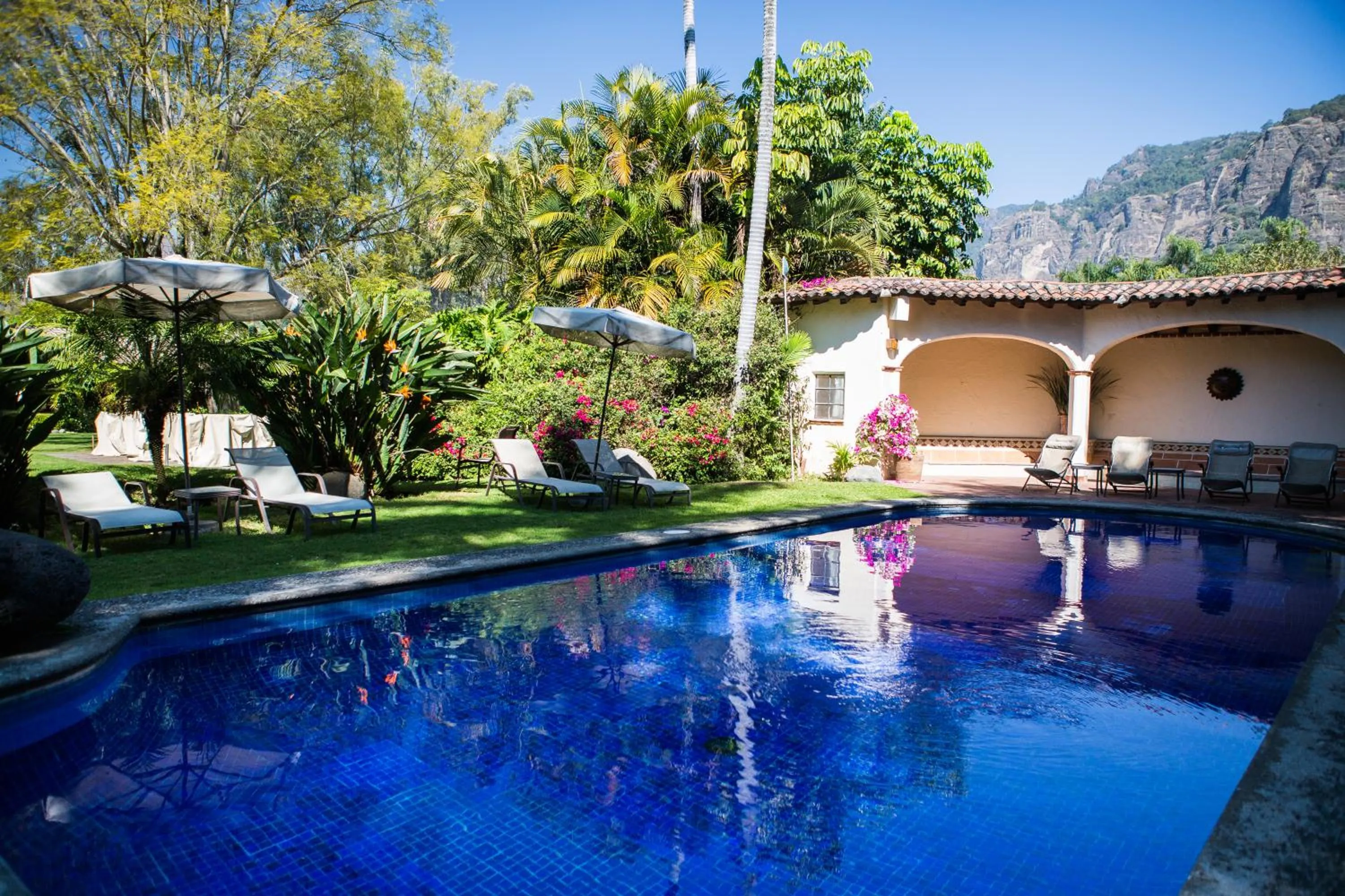 Swimming pool in Casa Bugambilia, Un Pequeño Hotel en Tepoztlán