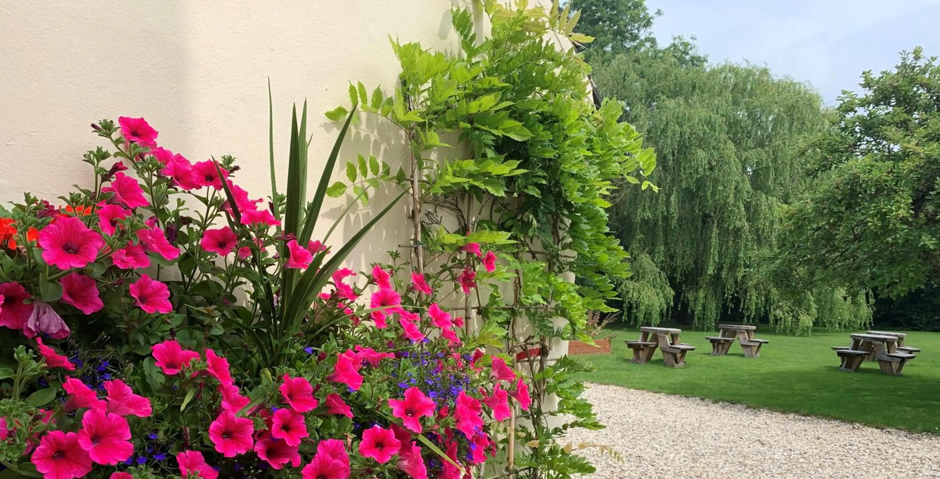 Garden view in Hope Orchard En-Suite Rooms