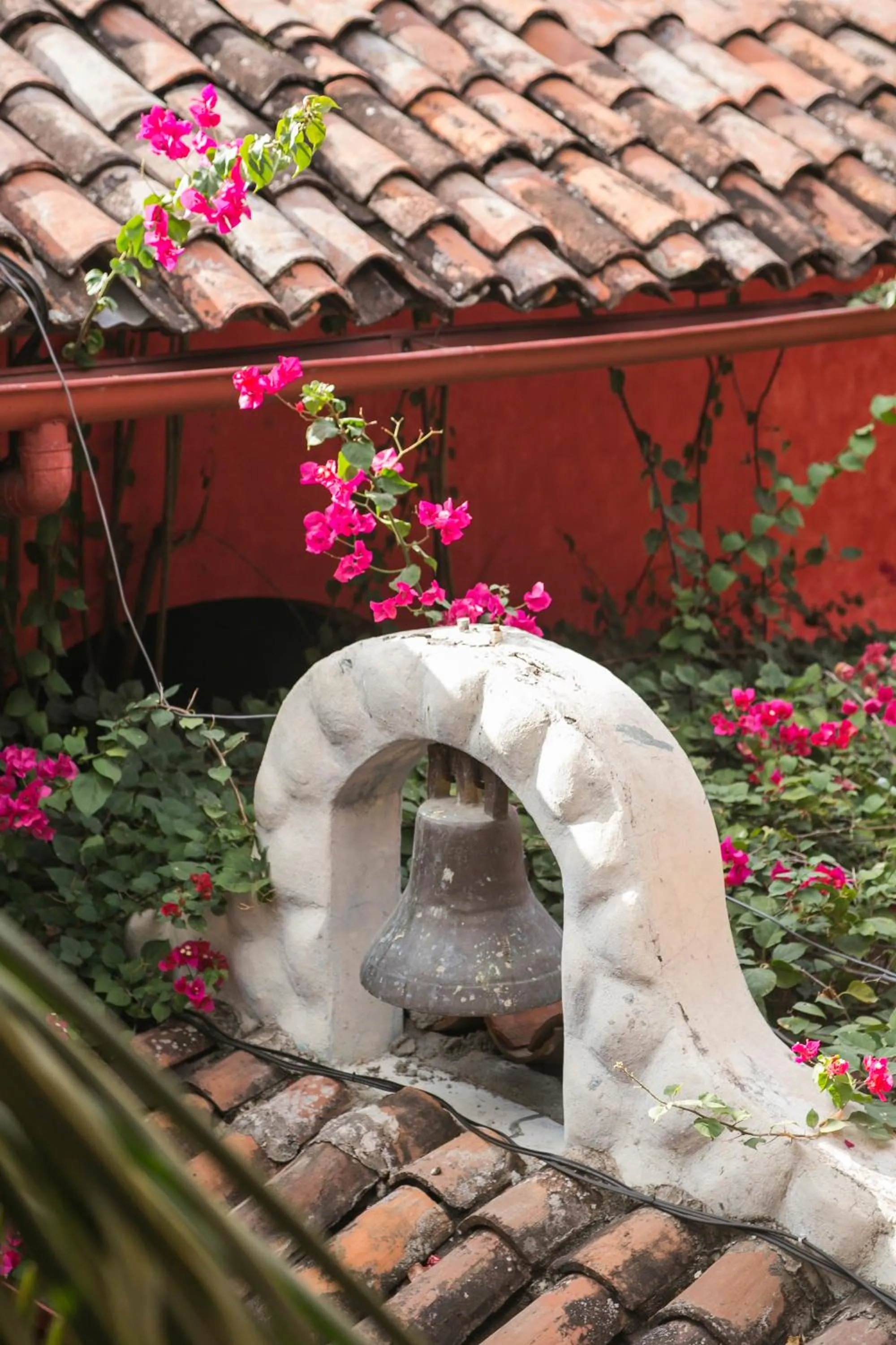 Garden in Hotel Casa del Consulado