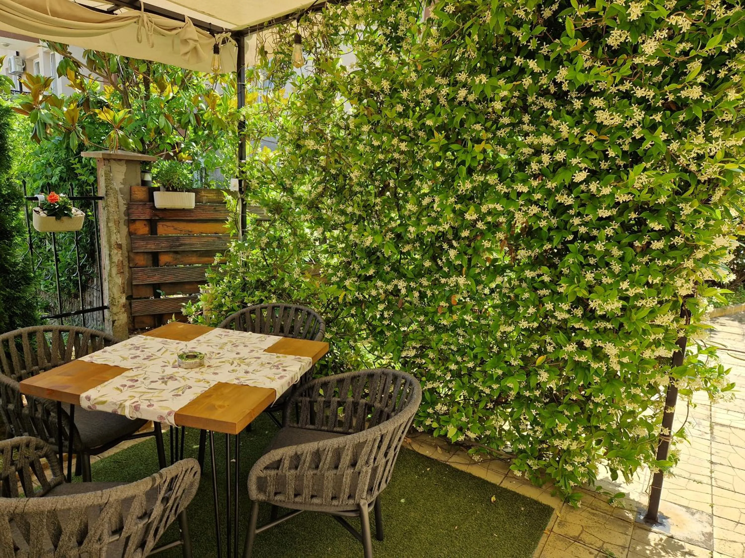 Restaurant/places to eat in Family Hotel Saga