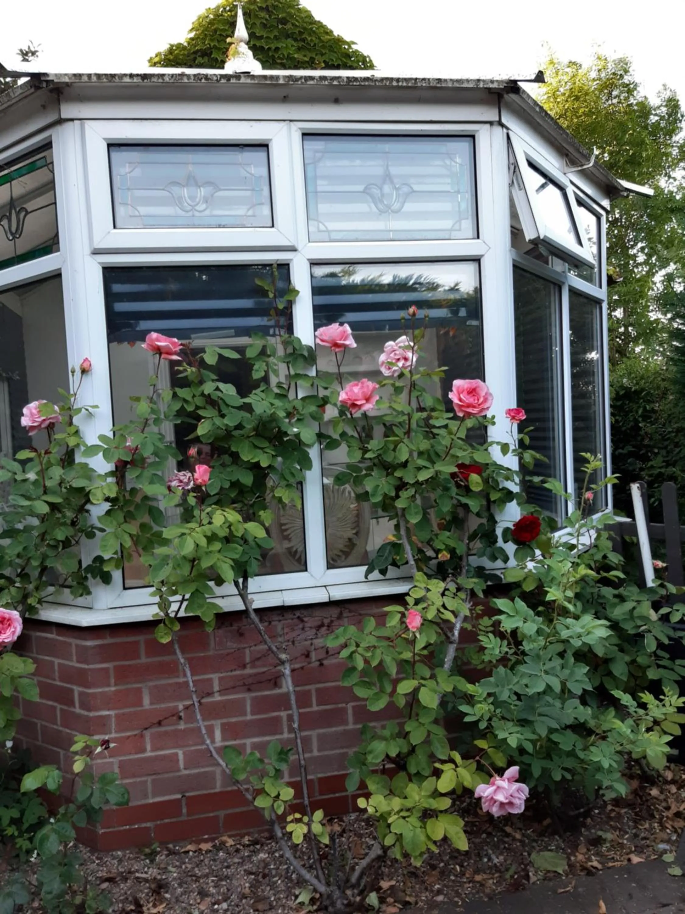 Garden view in The White Dove Bed and Breakfast with Glamping Newark showground